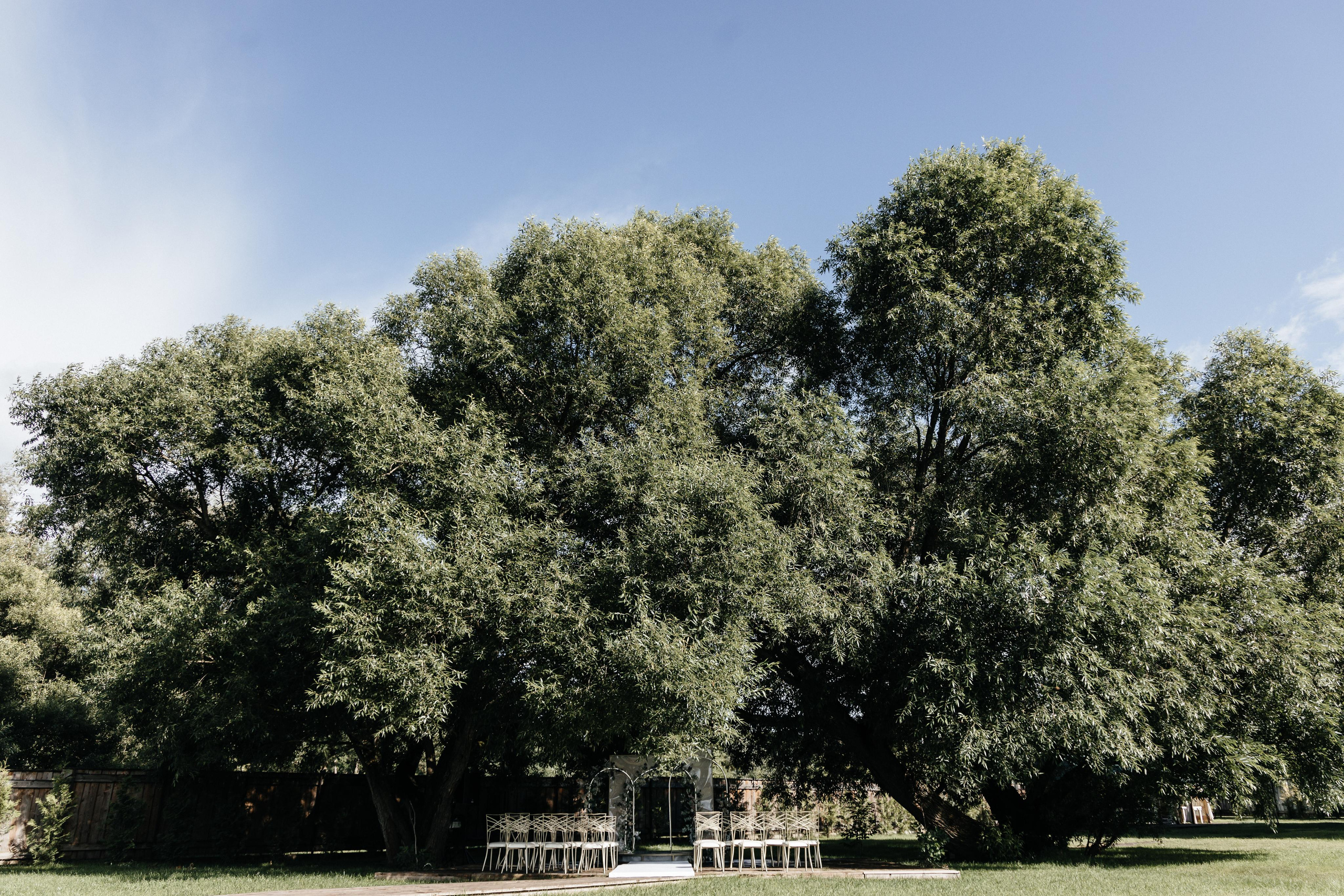 Дмитрий & Дарья. Главная