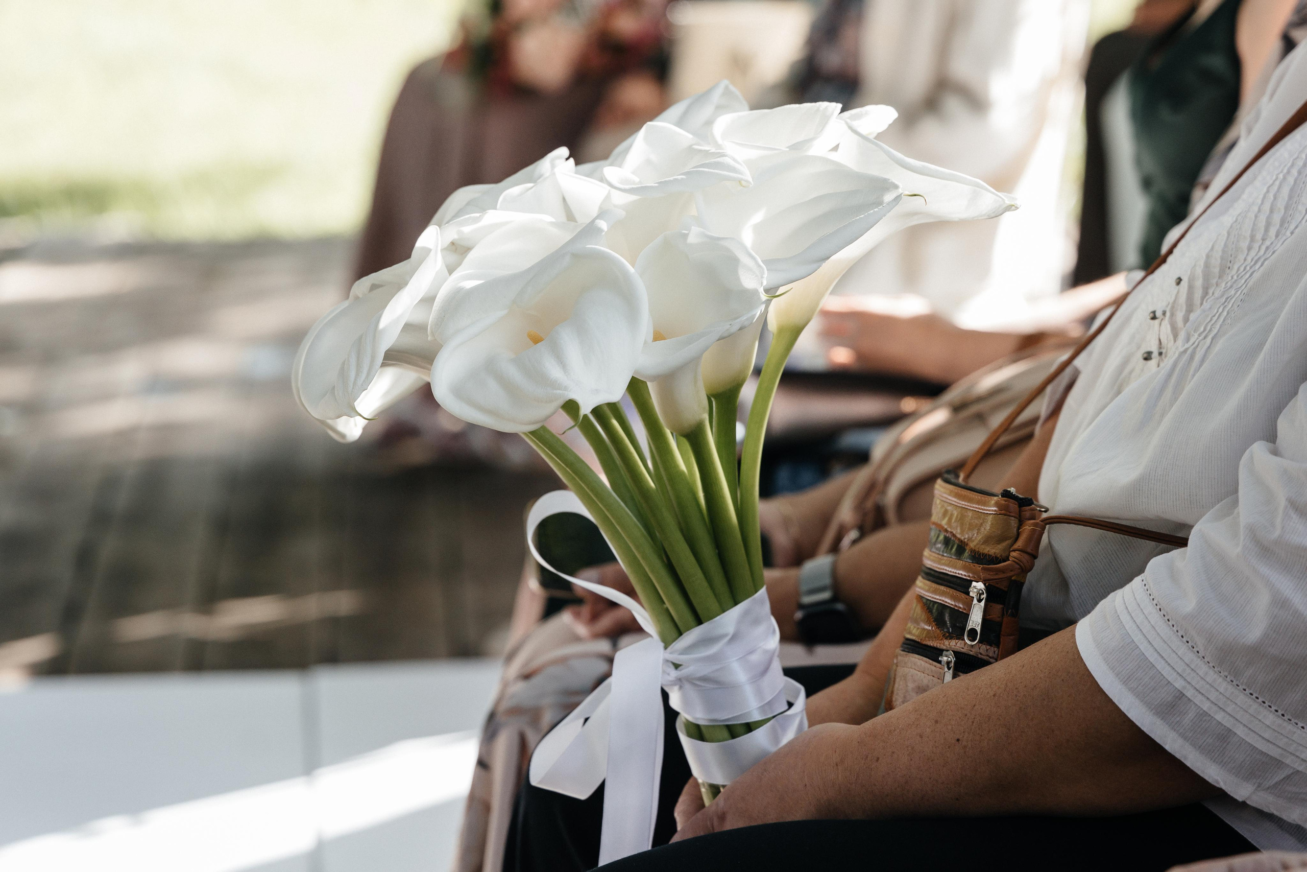 Дмитрий & Дарья. Главная