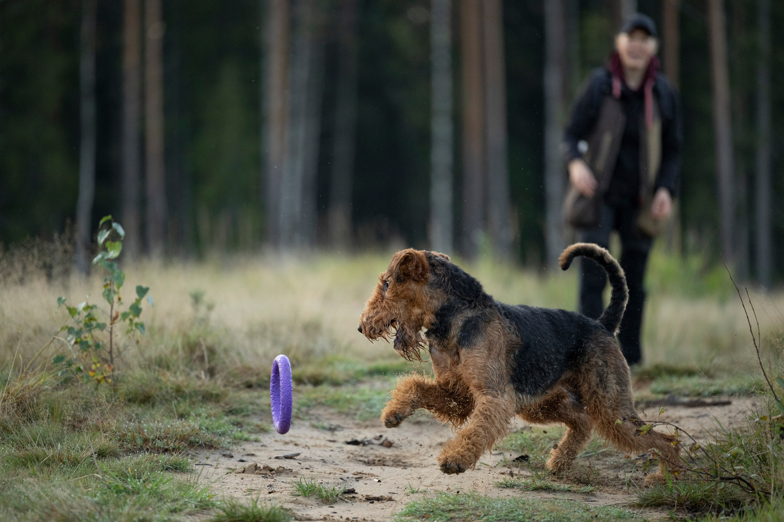 Харди. Фотограф-анималист Анна Маринич