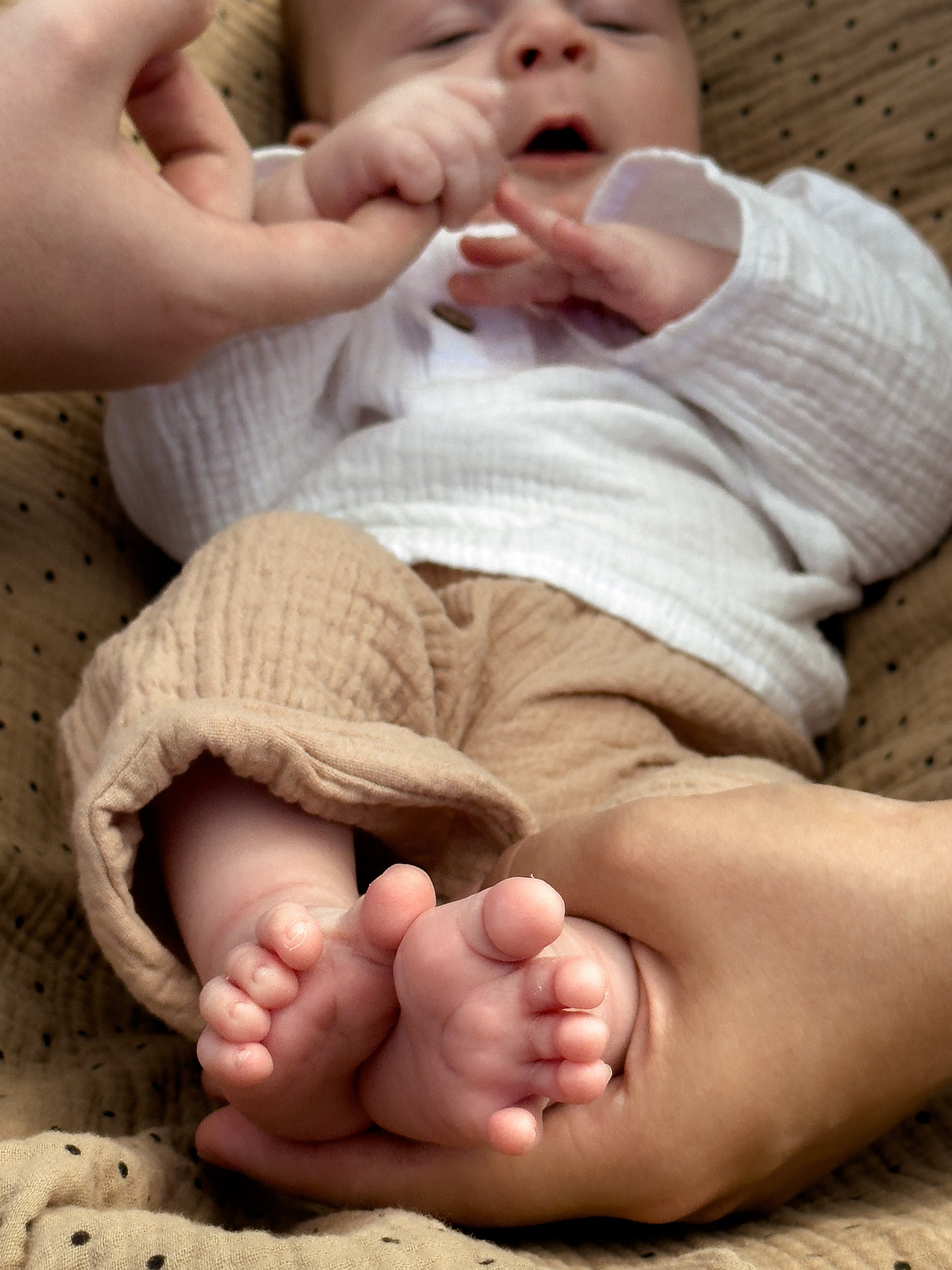 Семейная. Фотограф Барнаул Софья Бояринова