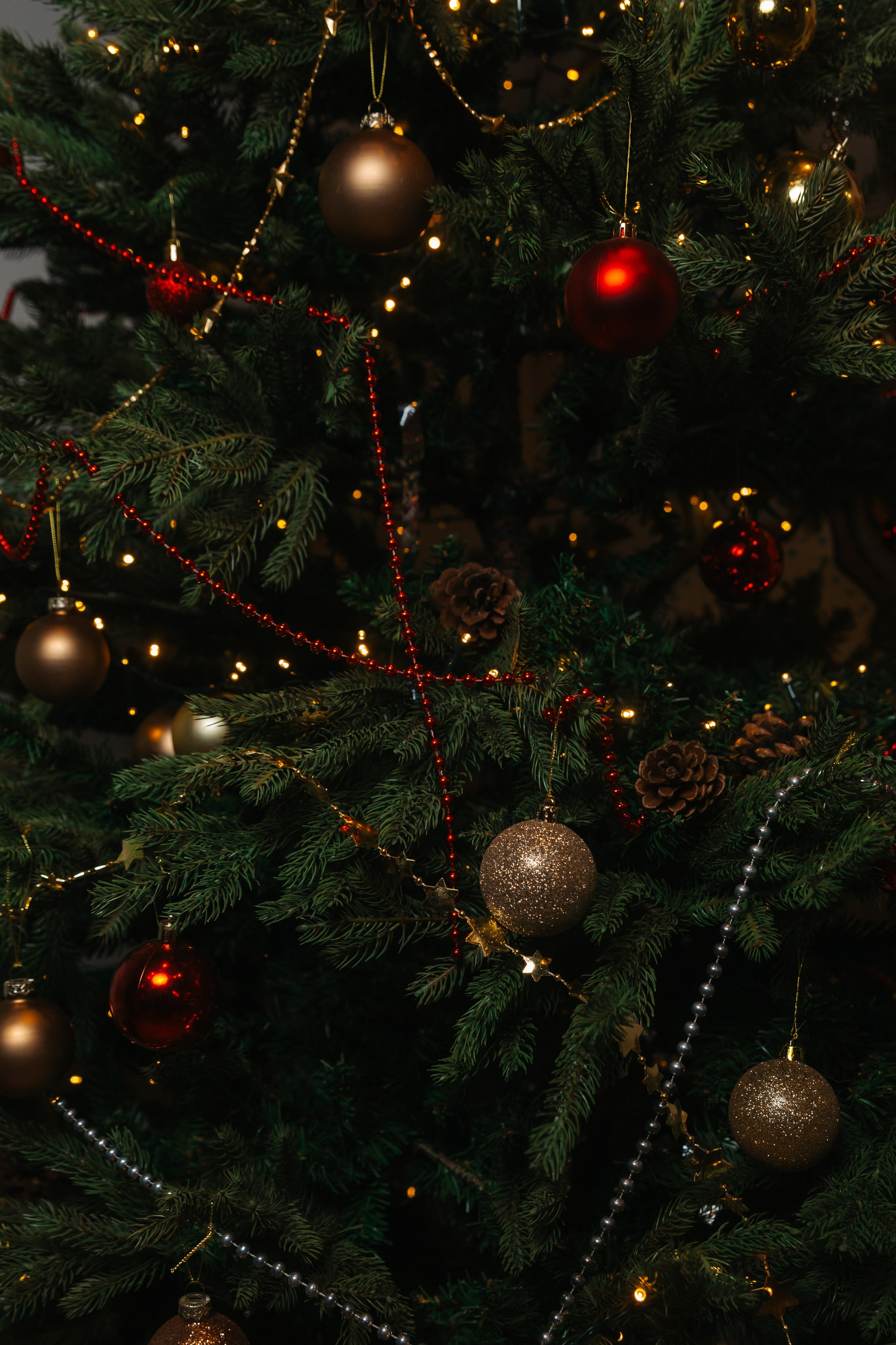 Кулинарные мастер-классы. Kubynin.V Production