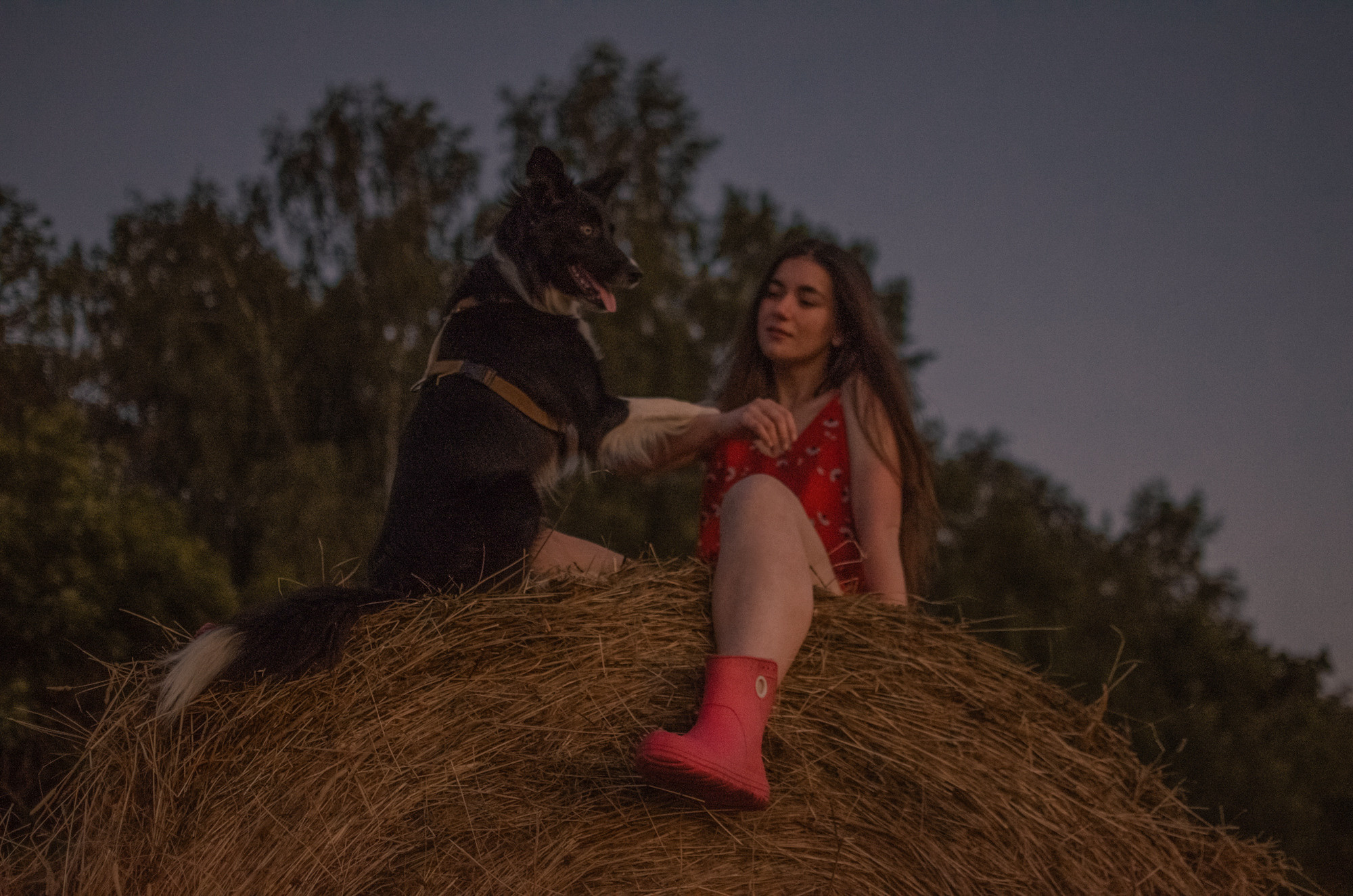 Алла и закат в полях. Ваш Семейный Фотограф Москва