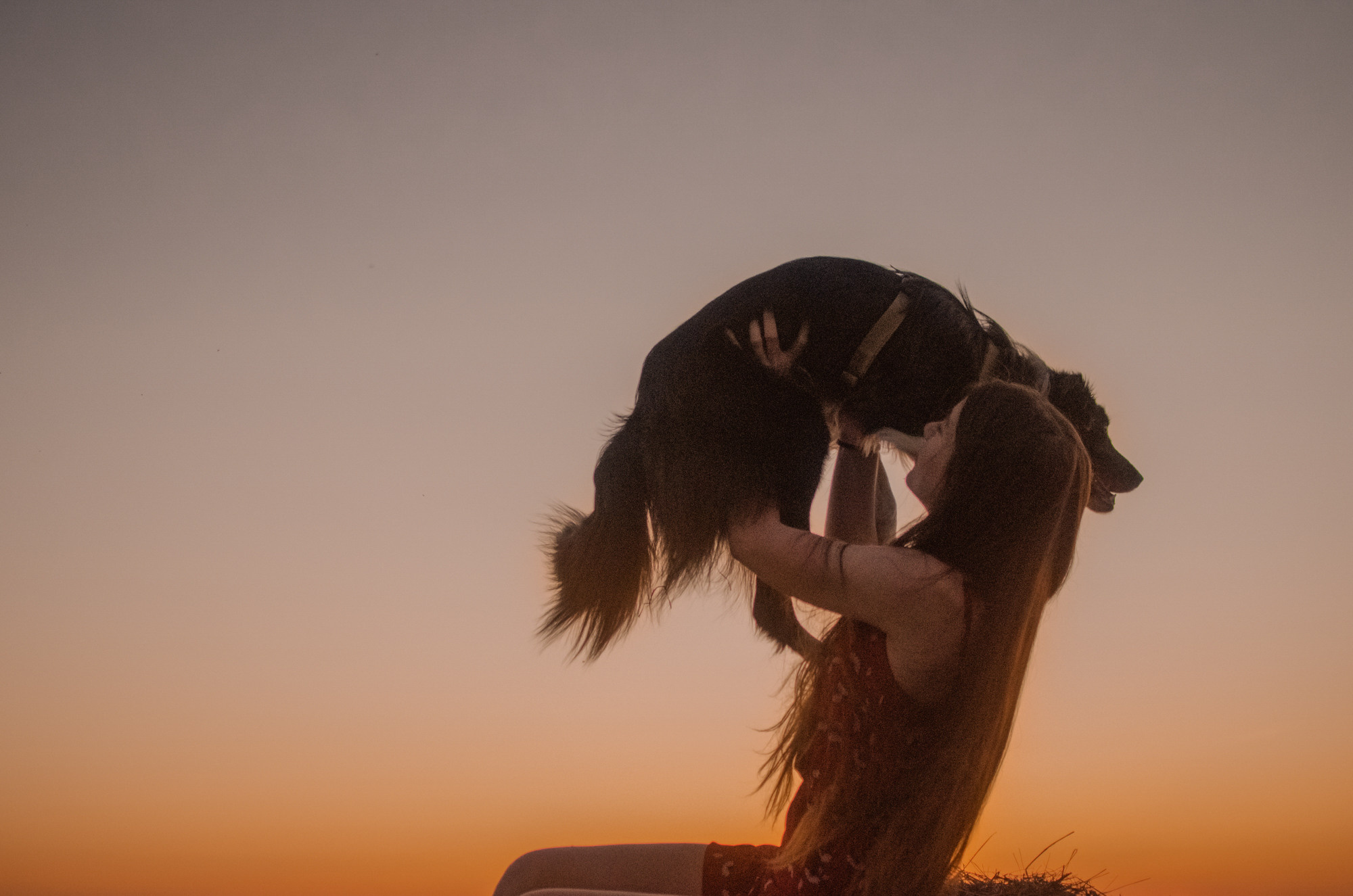 Алла и закат в полях. Ваш Семейный Фотограф Москва