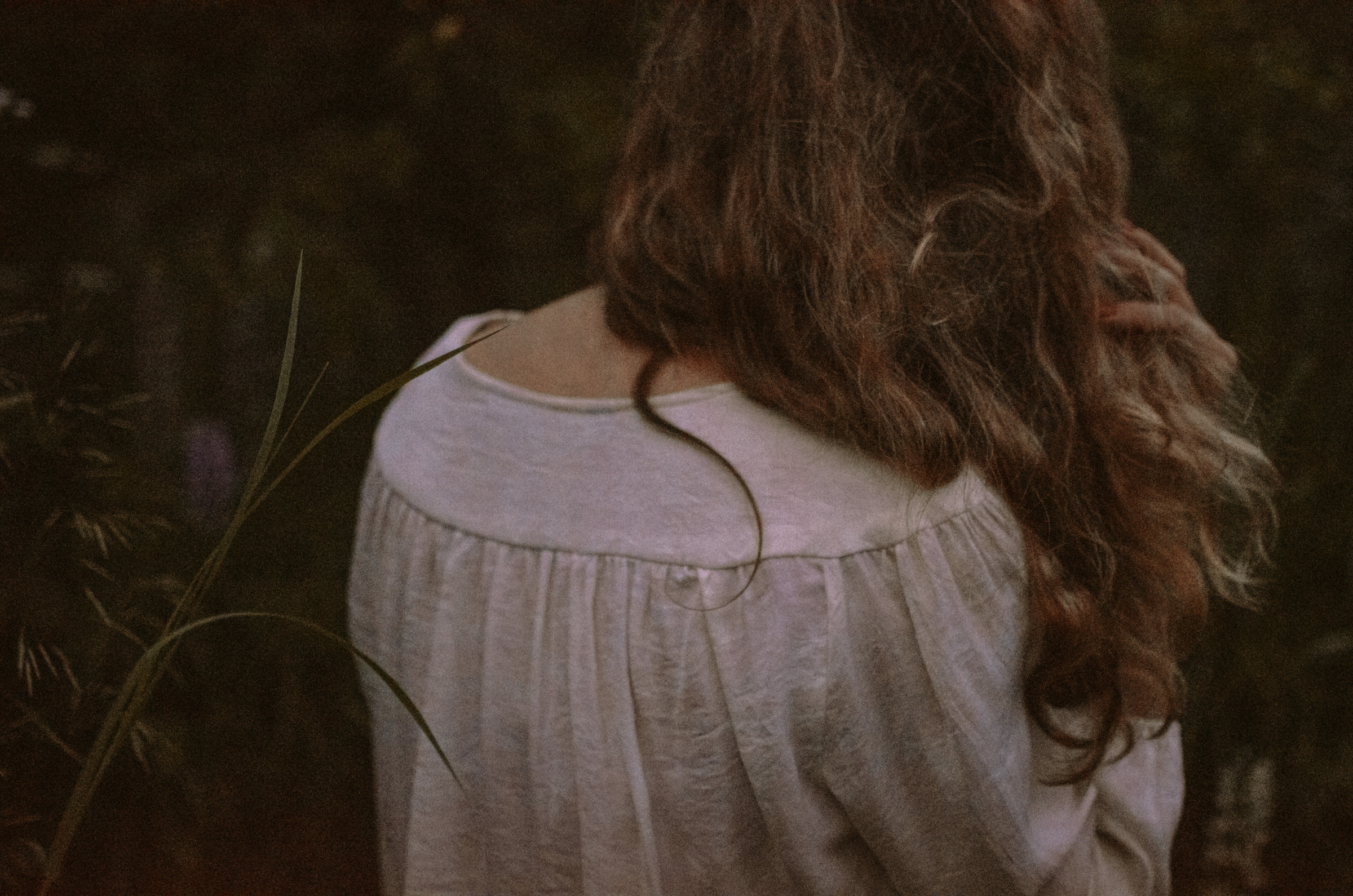 Люпины. Под плёнку. Ваш Семейный Фотограф Москва