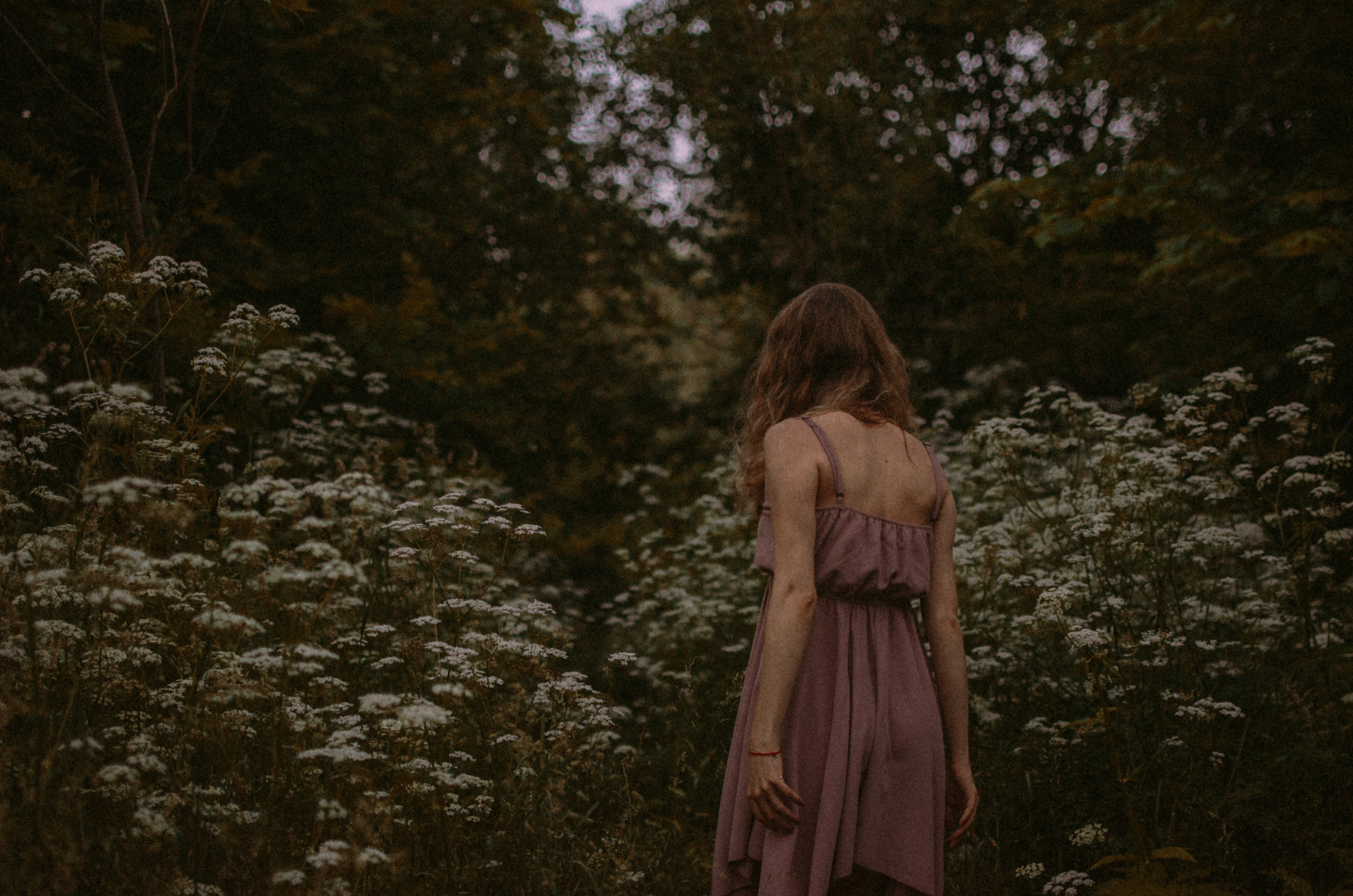 Люпины. Под плёнку. Ваш Семейный Фотограф Москва