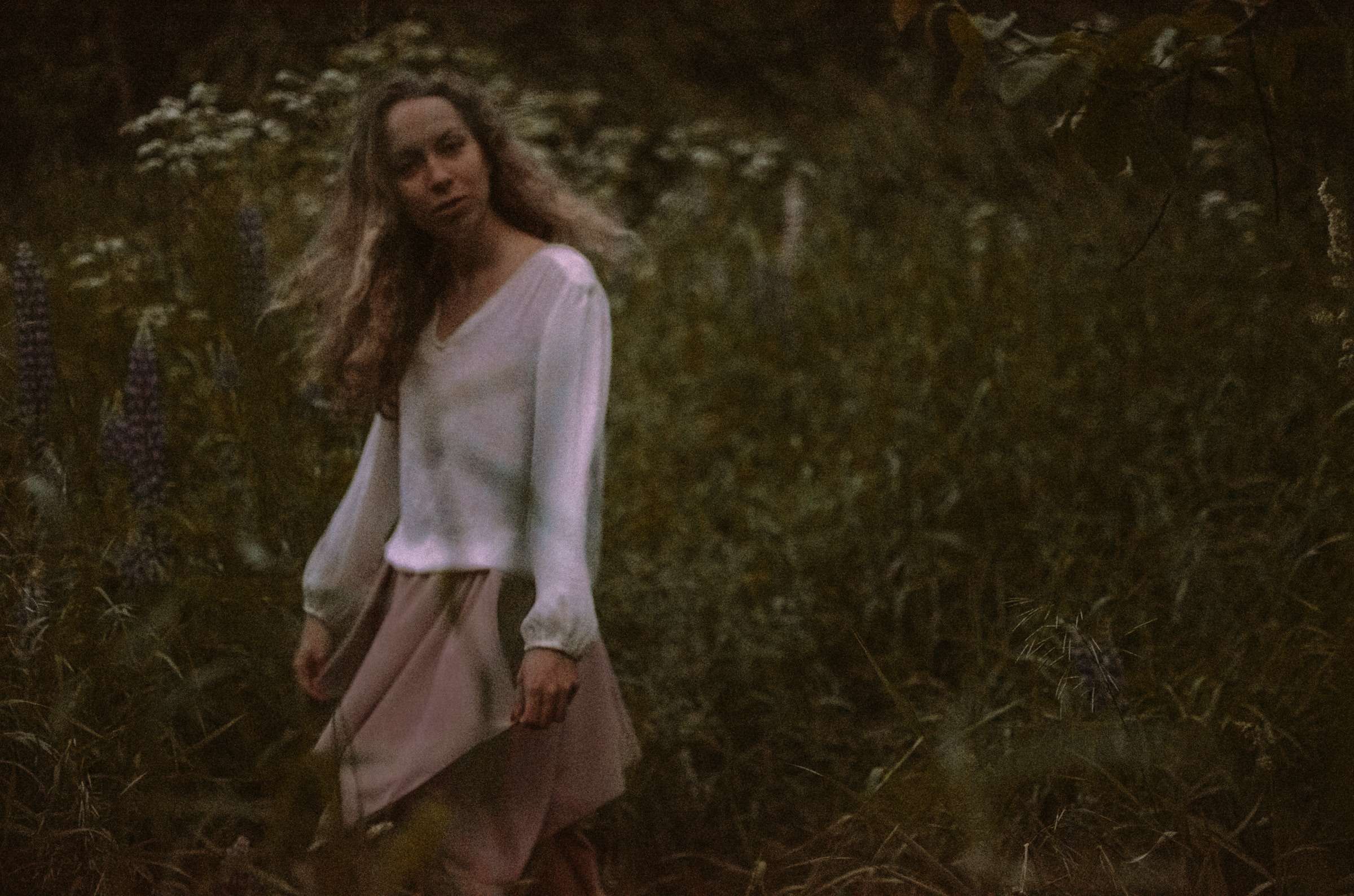 Люпины. Под плёнку. Ваш Семейный Фотограф Москва