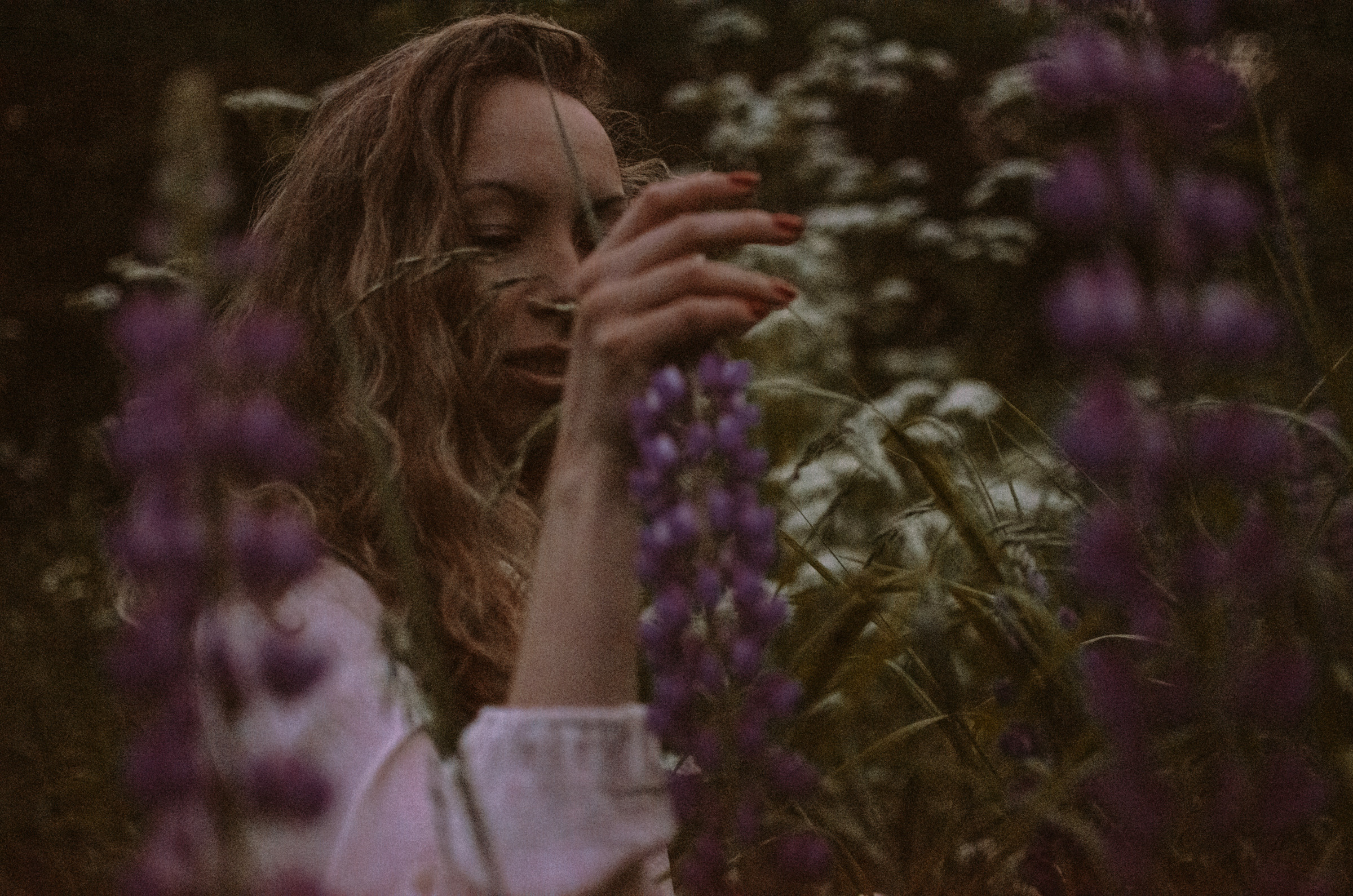 Люпины. Под плёнку. Ваш Семейный Фотограф Москва