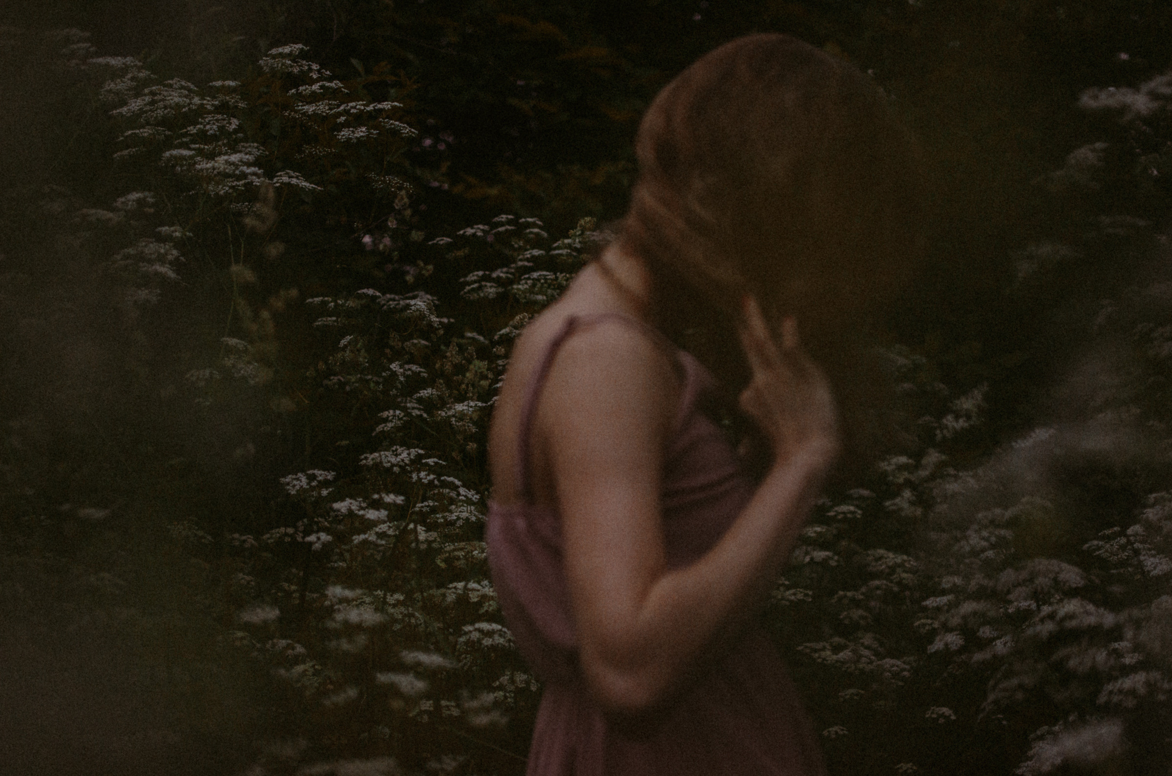 Люпины. Под плёнку. Ваш Семейный Фотограф Москва