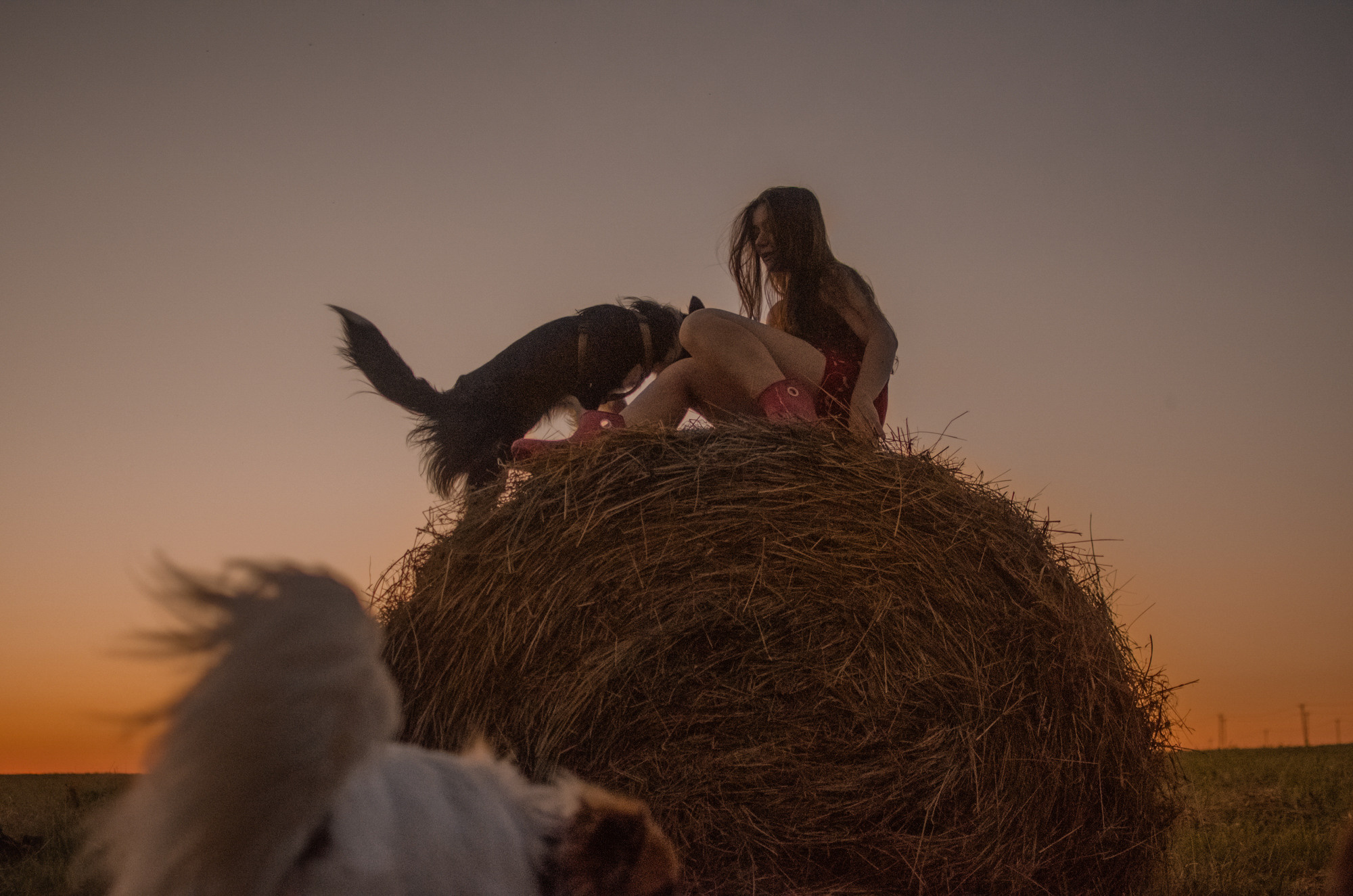 Алла и закат в полях. Ваш Семейный Фотограф Москва