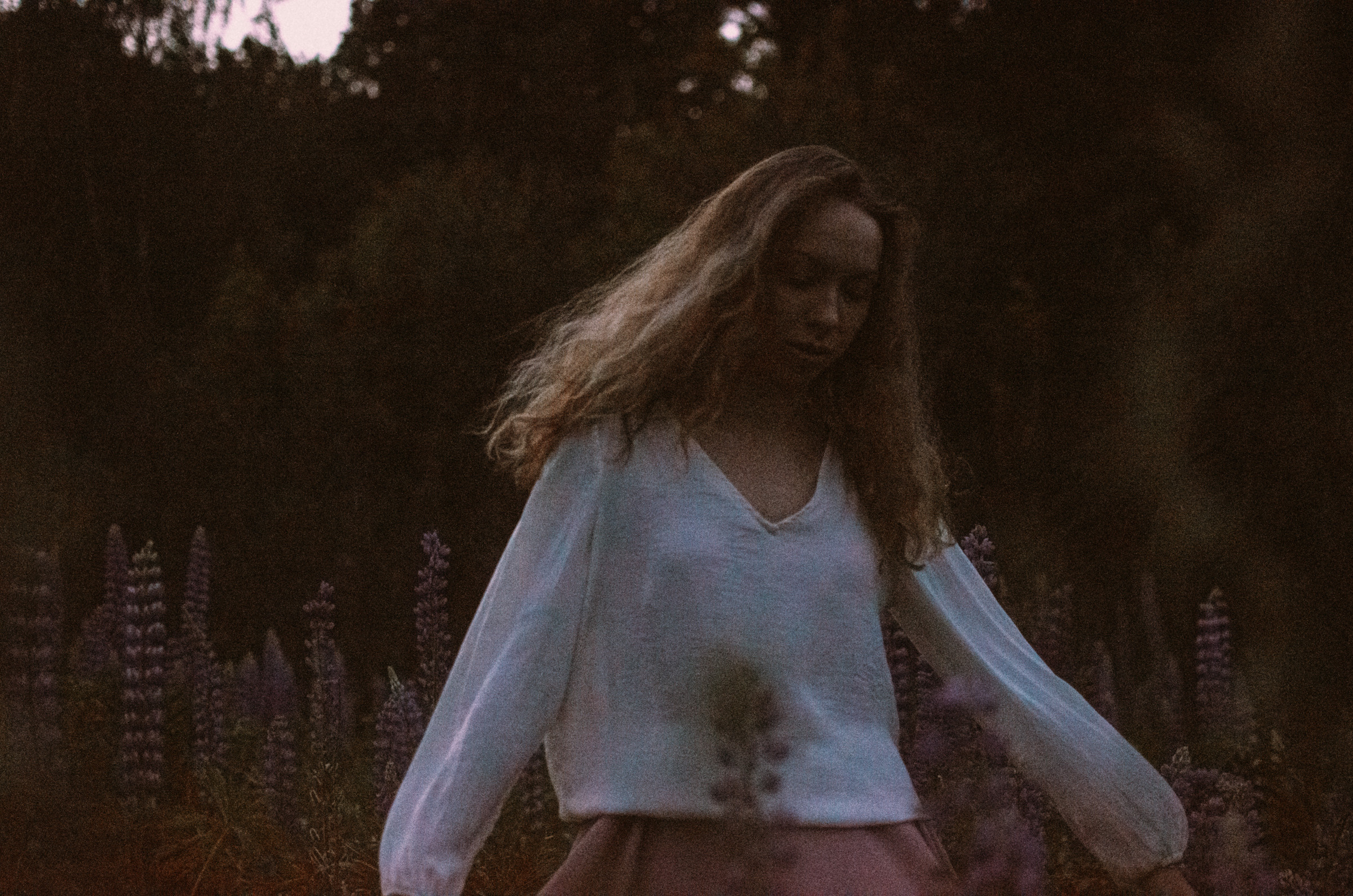 Люпины. Под плёнку. Ваш Семейный Фотограф Москва