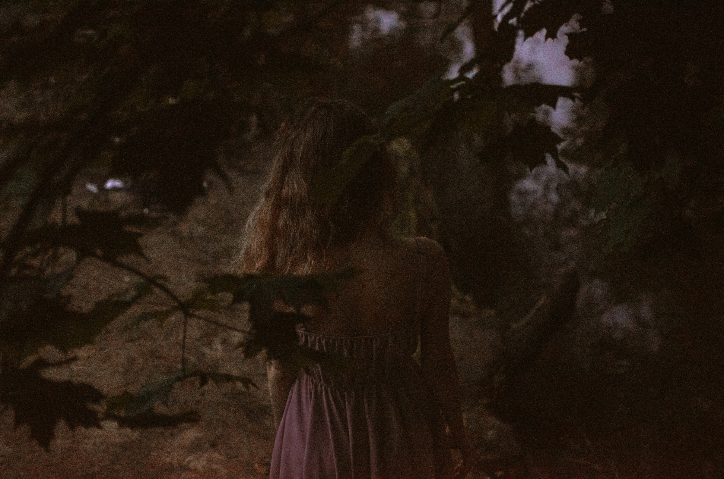 Люпины. Под плёнку. Ваш Семейный Фотограф Москва