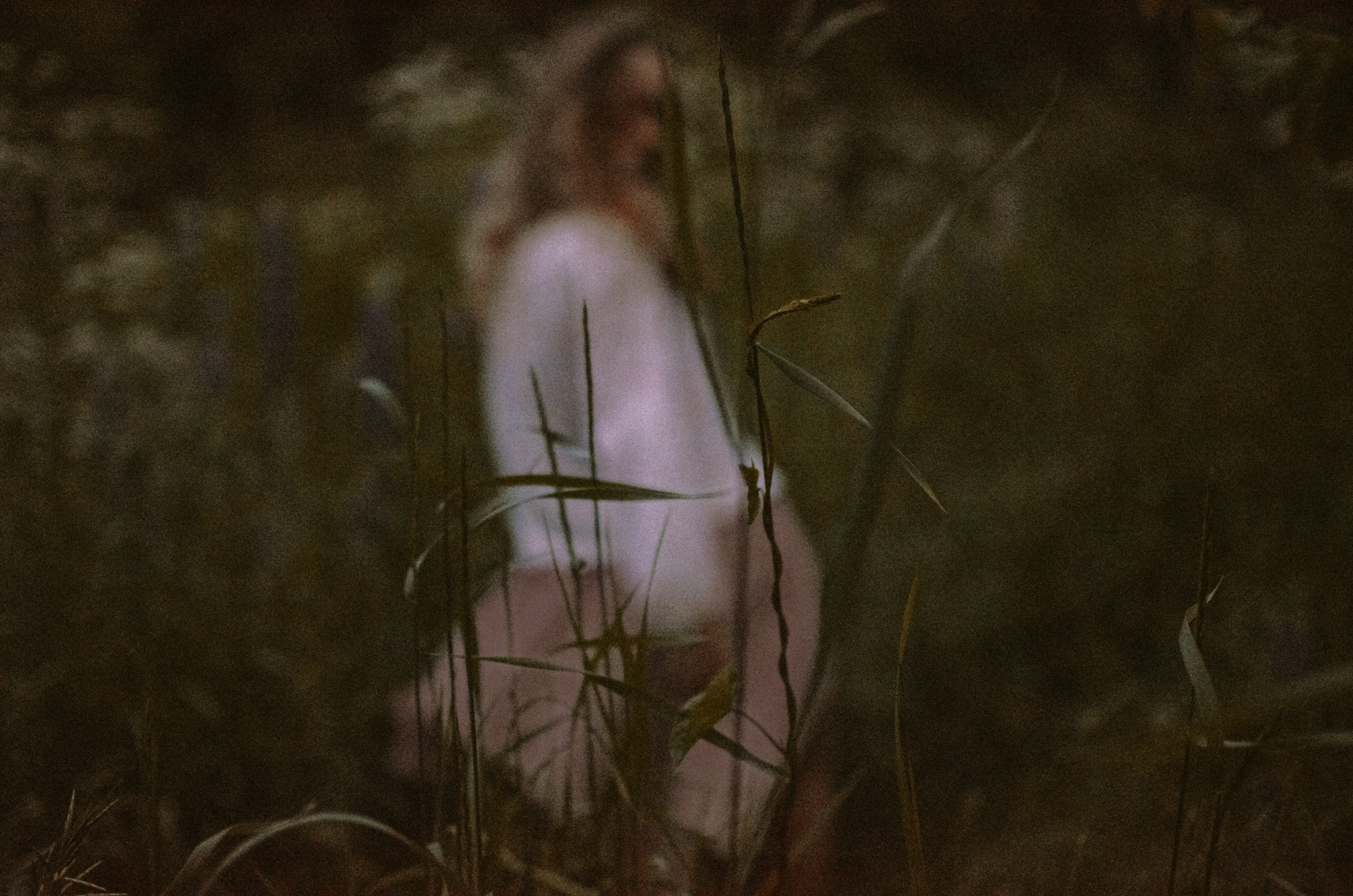 Люпины. Под плёнку. Ваш Семейный Фотограф Москва