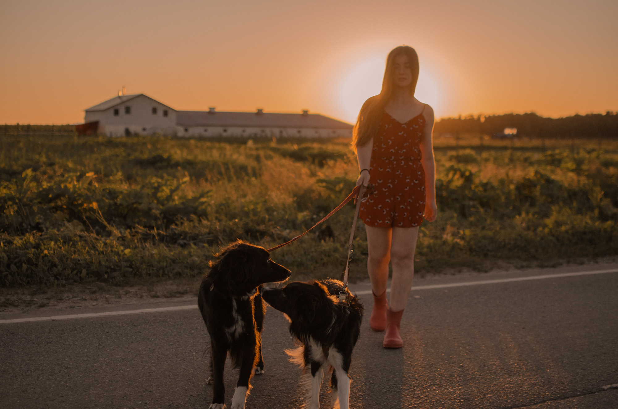 Алла и закат в полях. Ваш Семейный Фотограф Москва