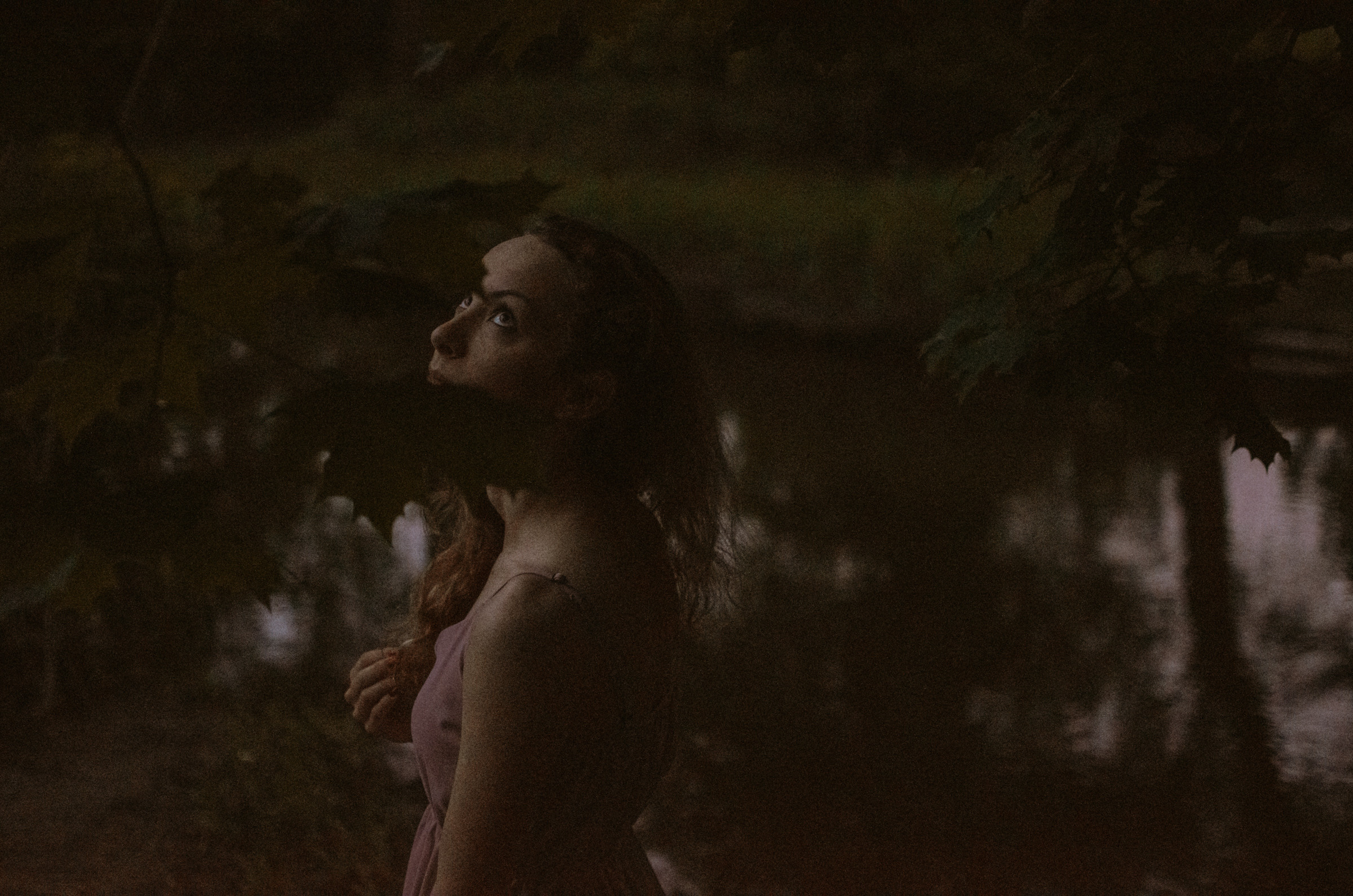 Люпины. Под плёнку. Ваш Семейный Фотограф Москва