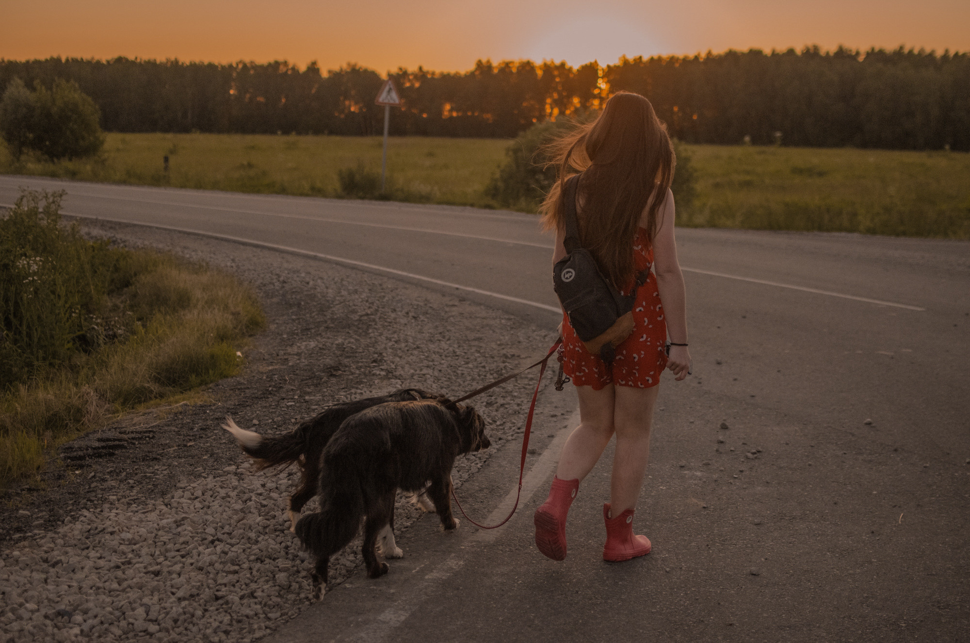 Алла и закат в полях. Ваш Семейный Фотограф Москва