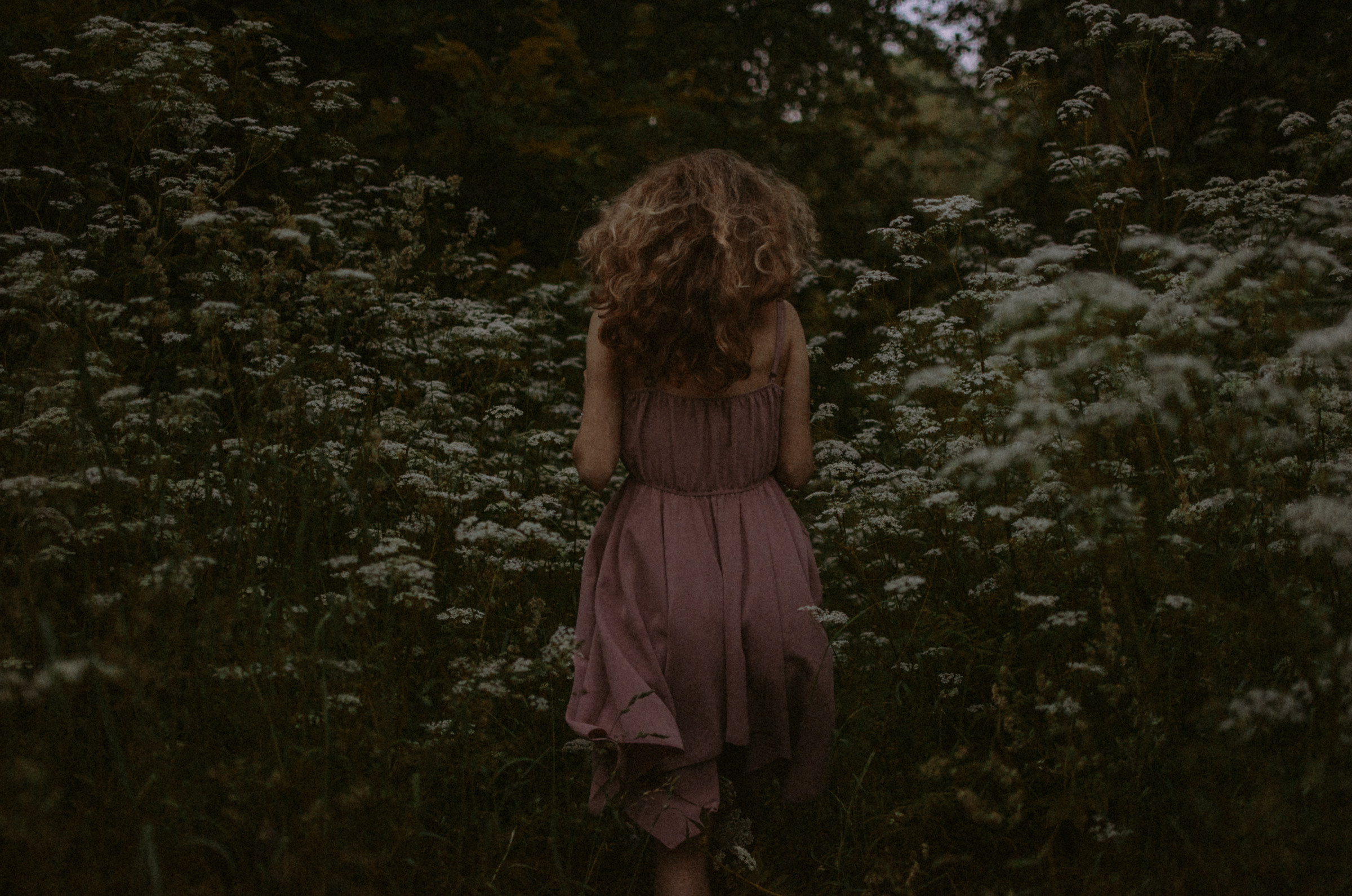 Люпины. Под плёнку. Ваш Семейный Фотограф Москва