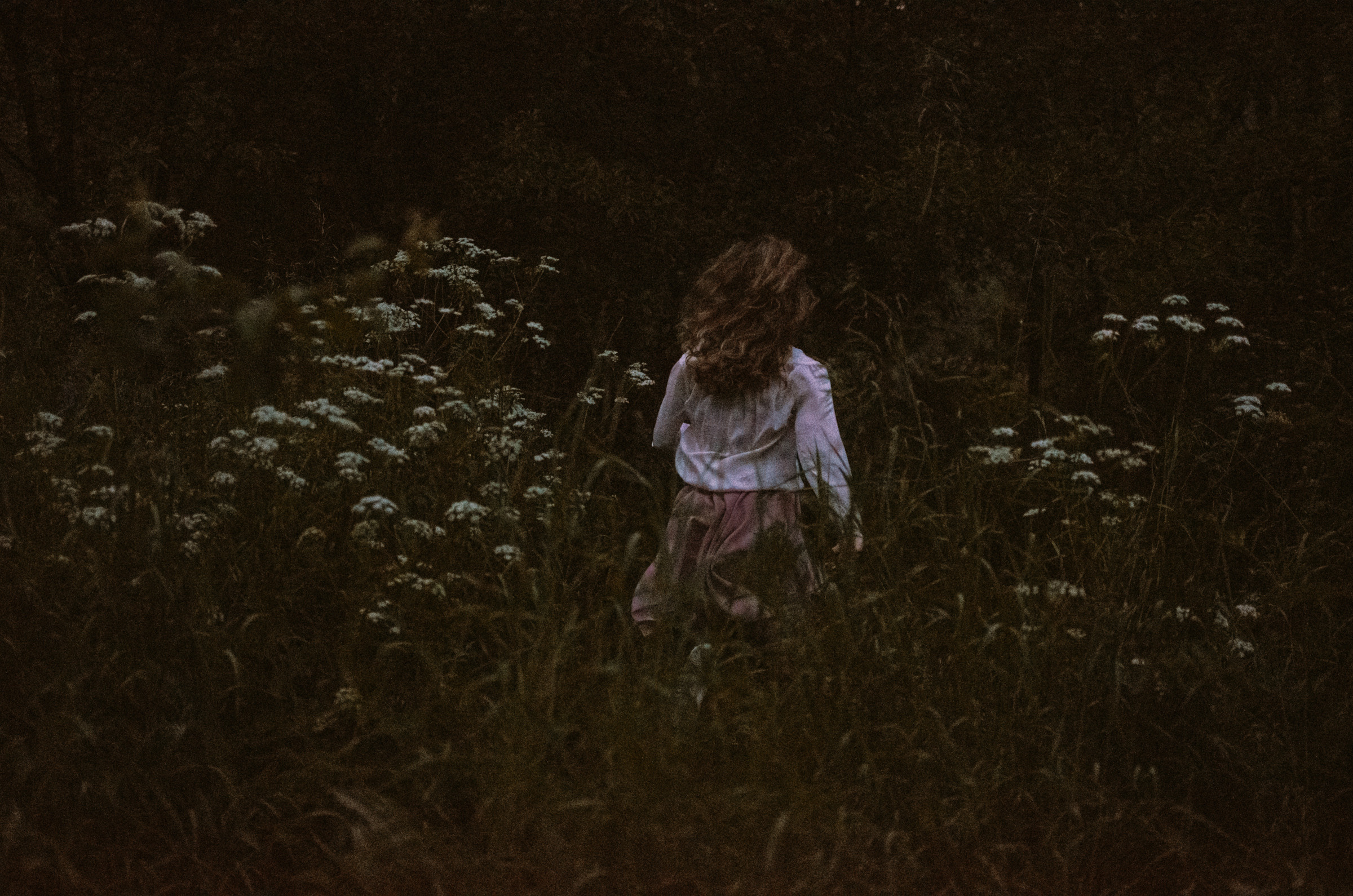 Люпины. Под плёнку. Ваш Семейный Фотограф Москва