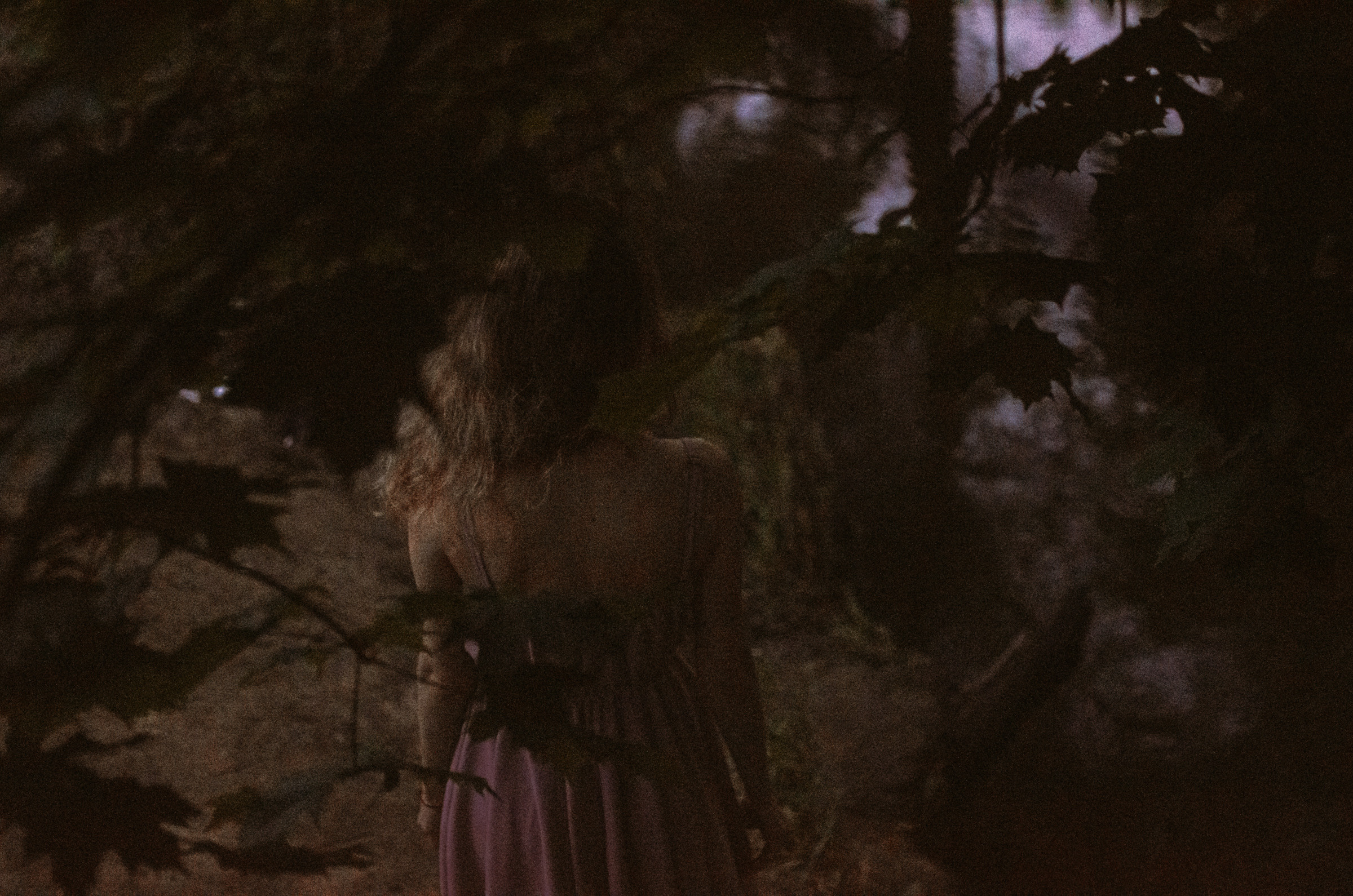 Люпины. Под плёнку. Ваш Семейный Фотограф Москва