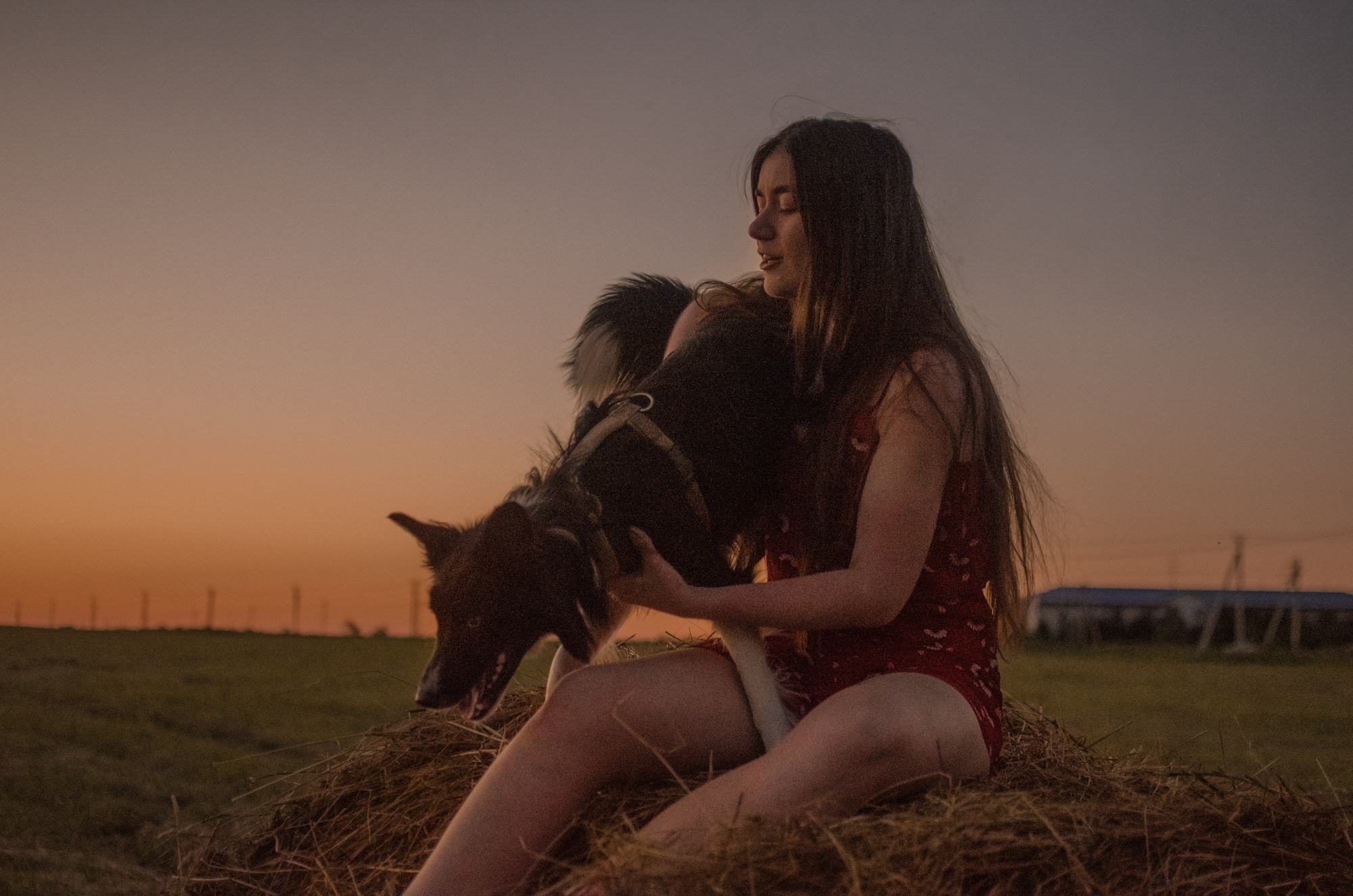 Алла и закат в полях. Ваш Семейный Фотограф Москва