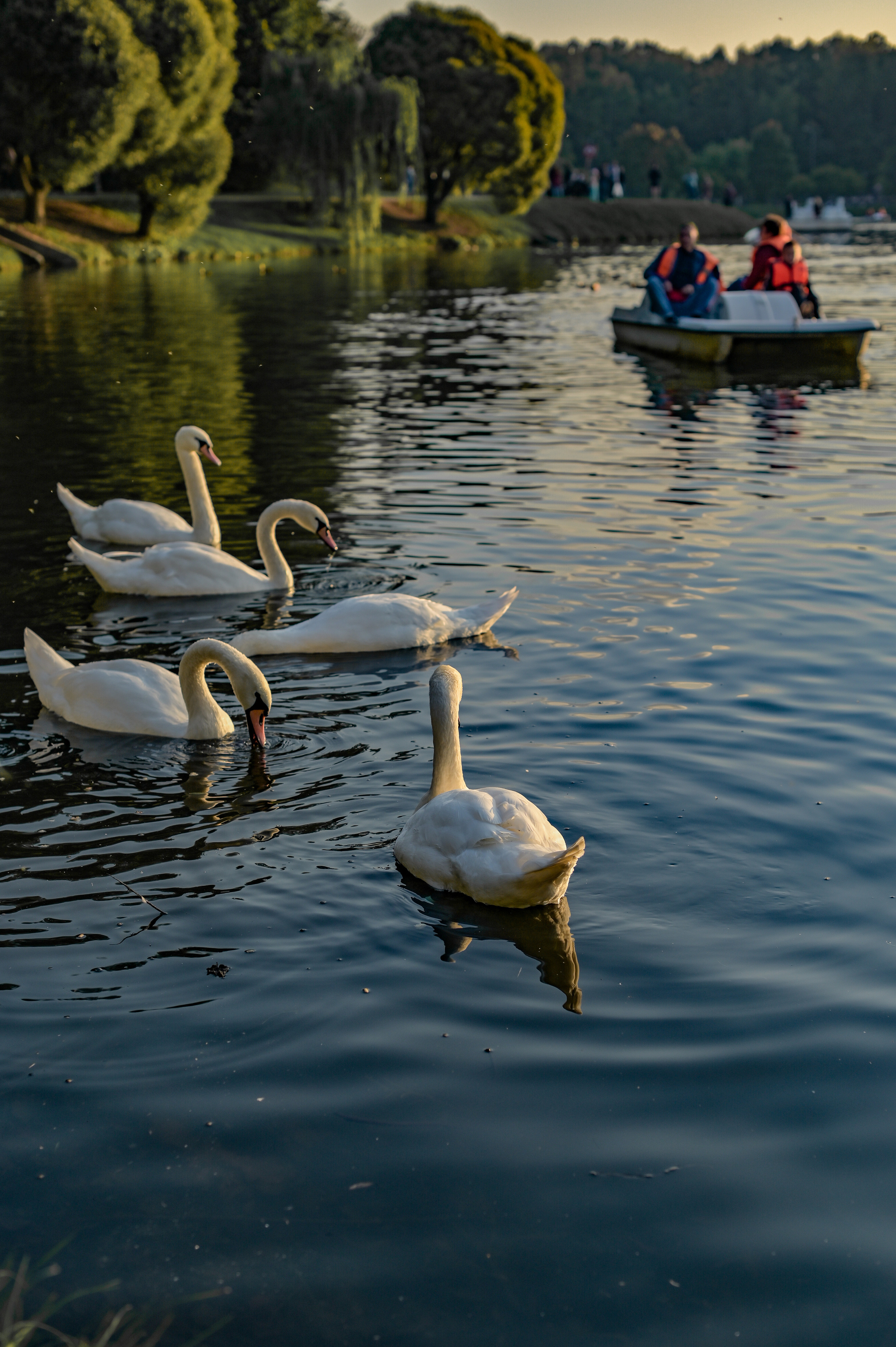 Sunny day. Семейный и репортажный фотограф в Москве Анастасия Трубкина