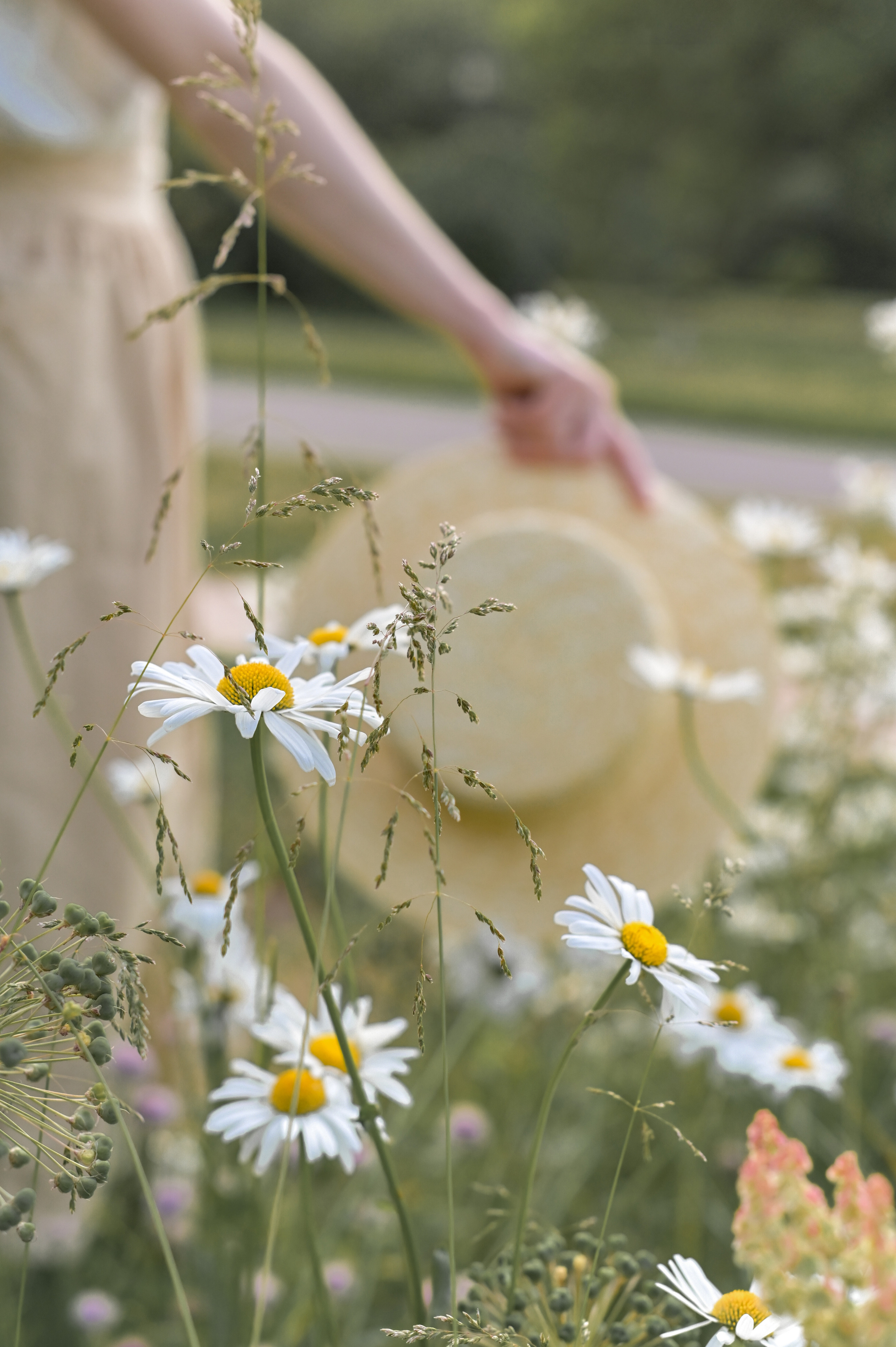 Fairy tale. Семейный и репортажный фотограф в Москве Анастасия Трубкина