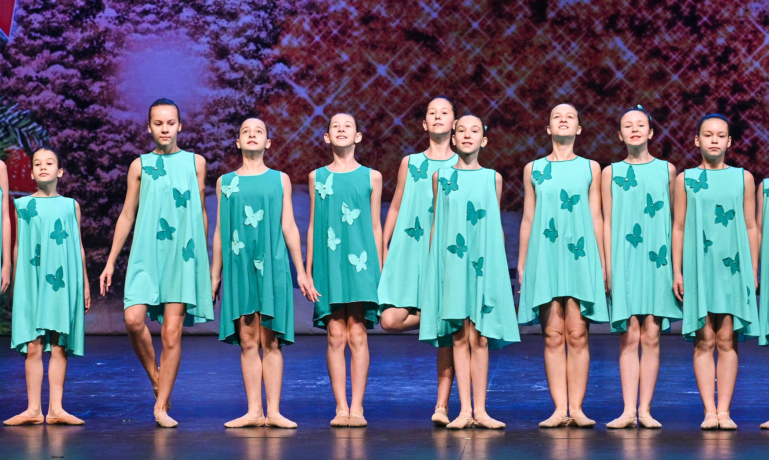 14.11.2024 «Новогодний Звездопад Талантов» Фестивальное движение «Шаг к мечте» г. Москва. Медиастудия Фото Концепт