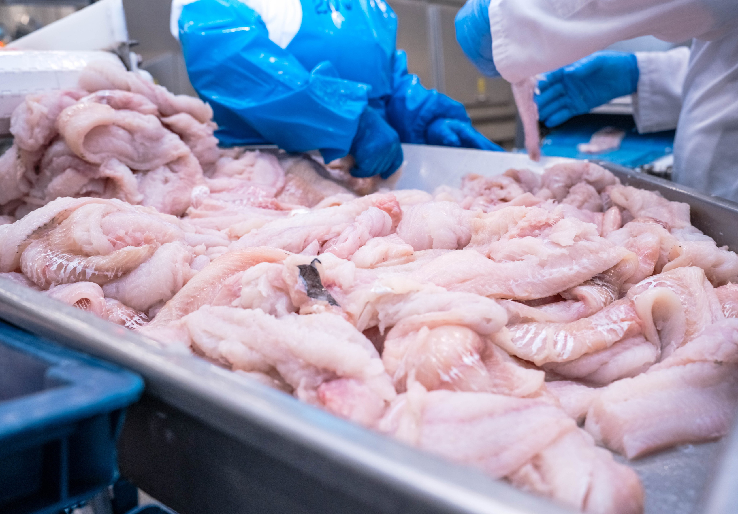 «Росмолодеж» экскурсия. Туманов Кирилл Фото, видео и аэросъемка в Мурманской области