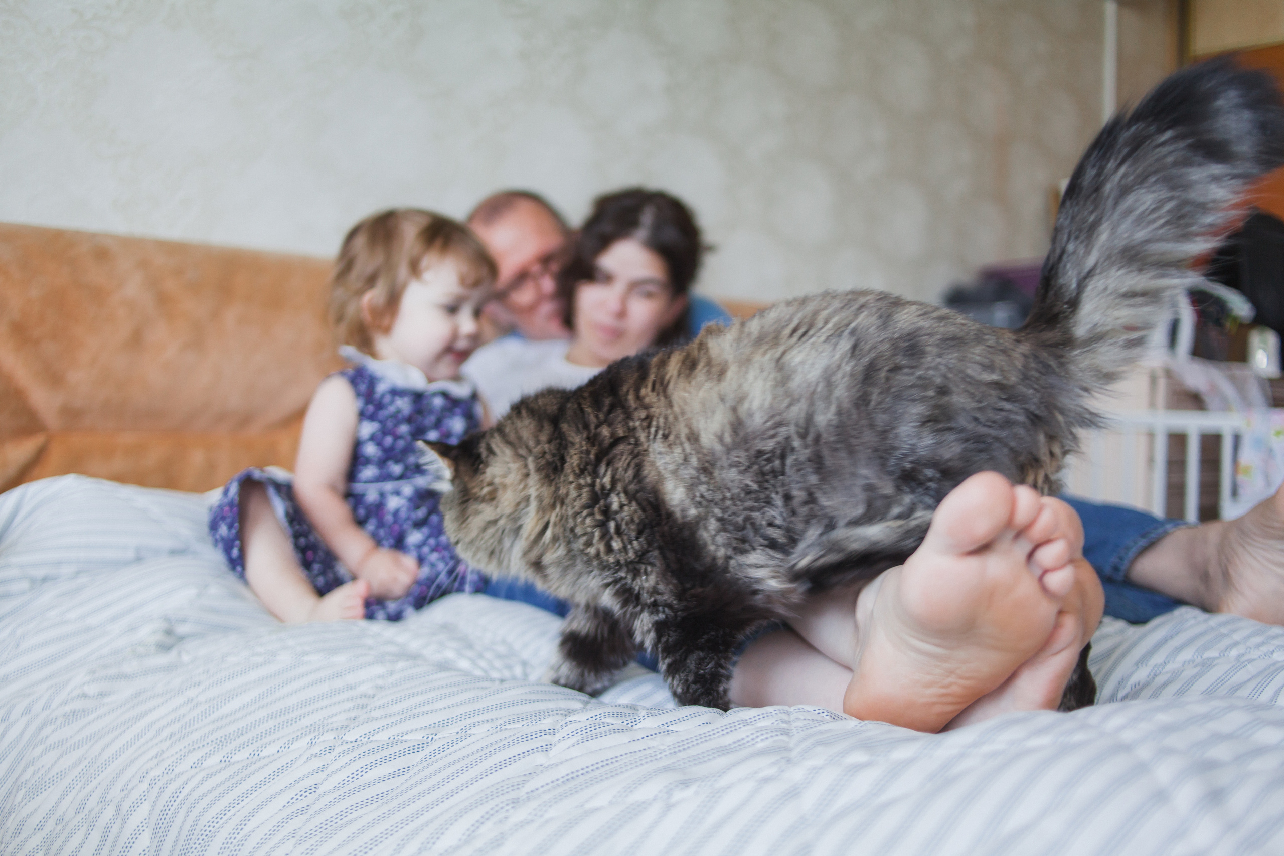 Семьи. Aourica — Фотограф Ольга, Санкт-Петербург, Москва, Гагарин