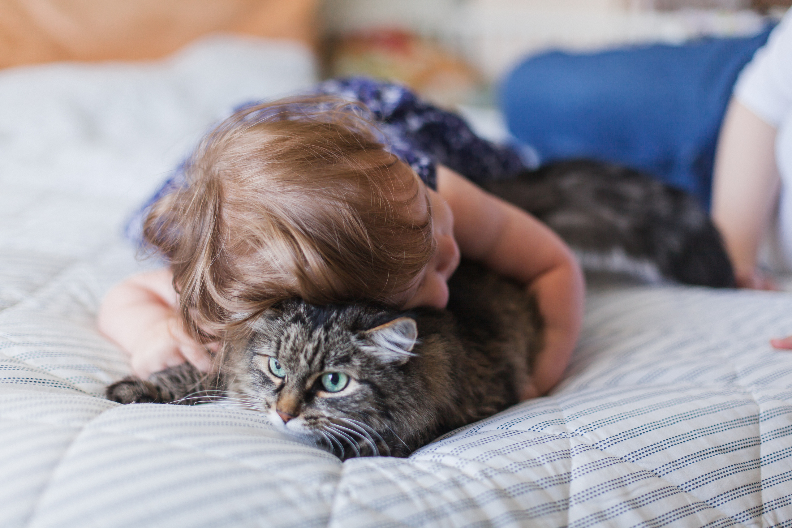 Семьи. Aourica — Фотограф Ольга, Санкт-Петербург, Москва, Гагарин