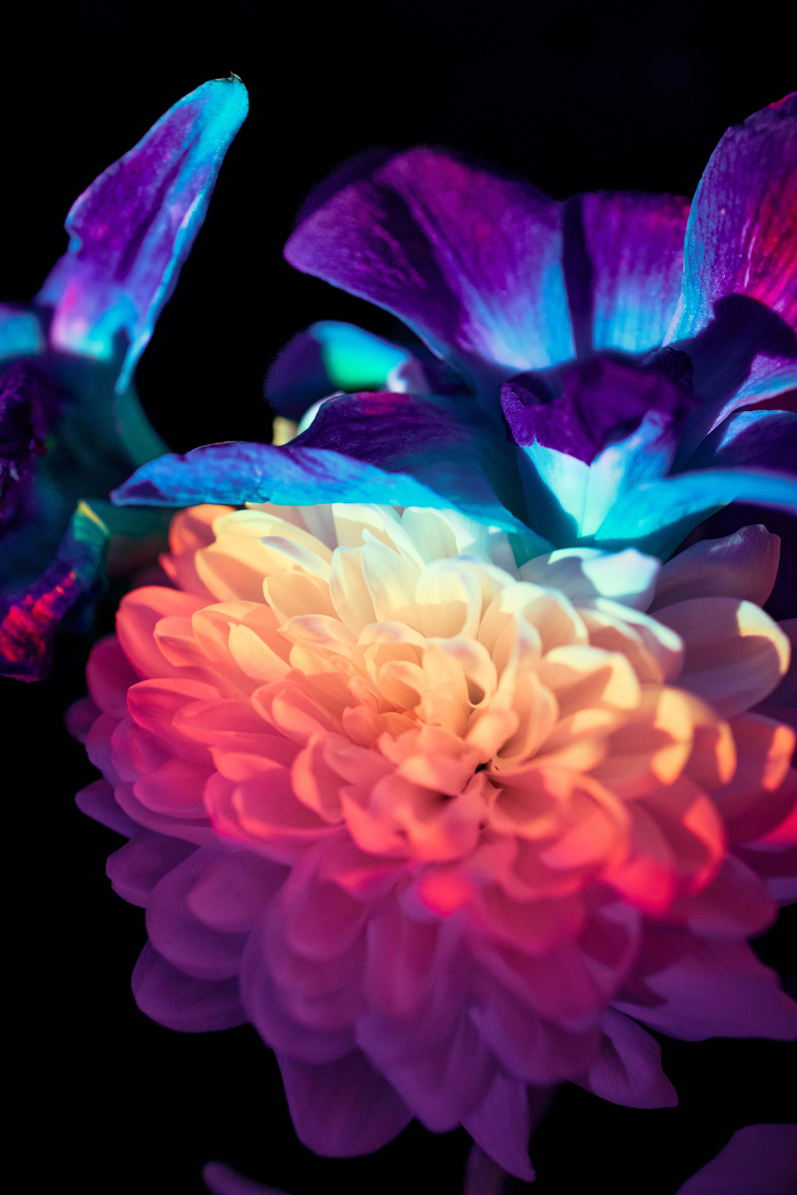 Esthetic. Фотограф Москва / TASIA_ZHUKOVA Photographer Moscow