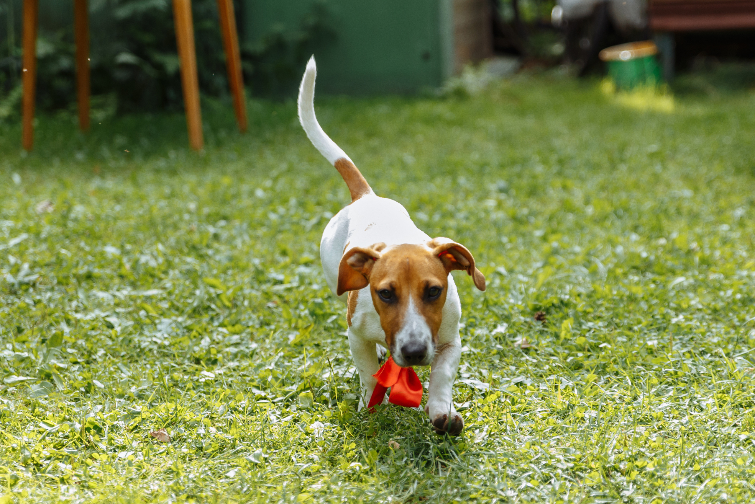 Миша и Маша