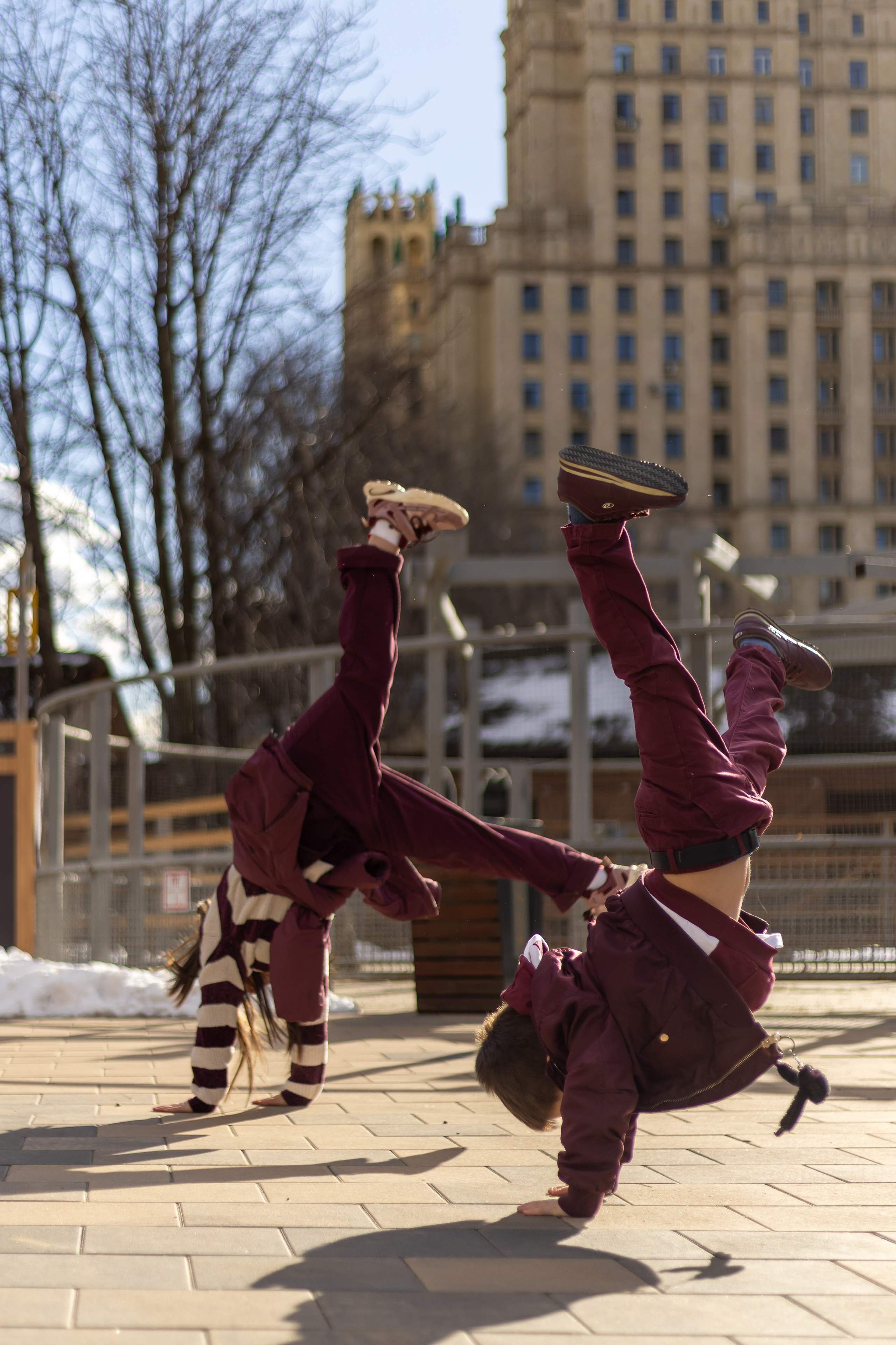 Zoo. Семейный фотограф Израиль