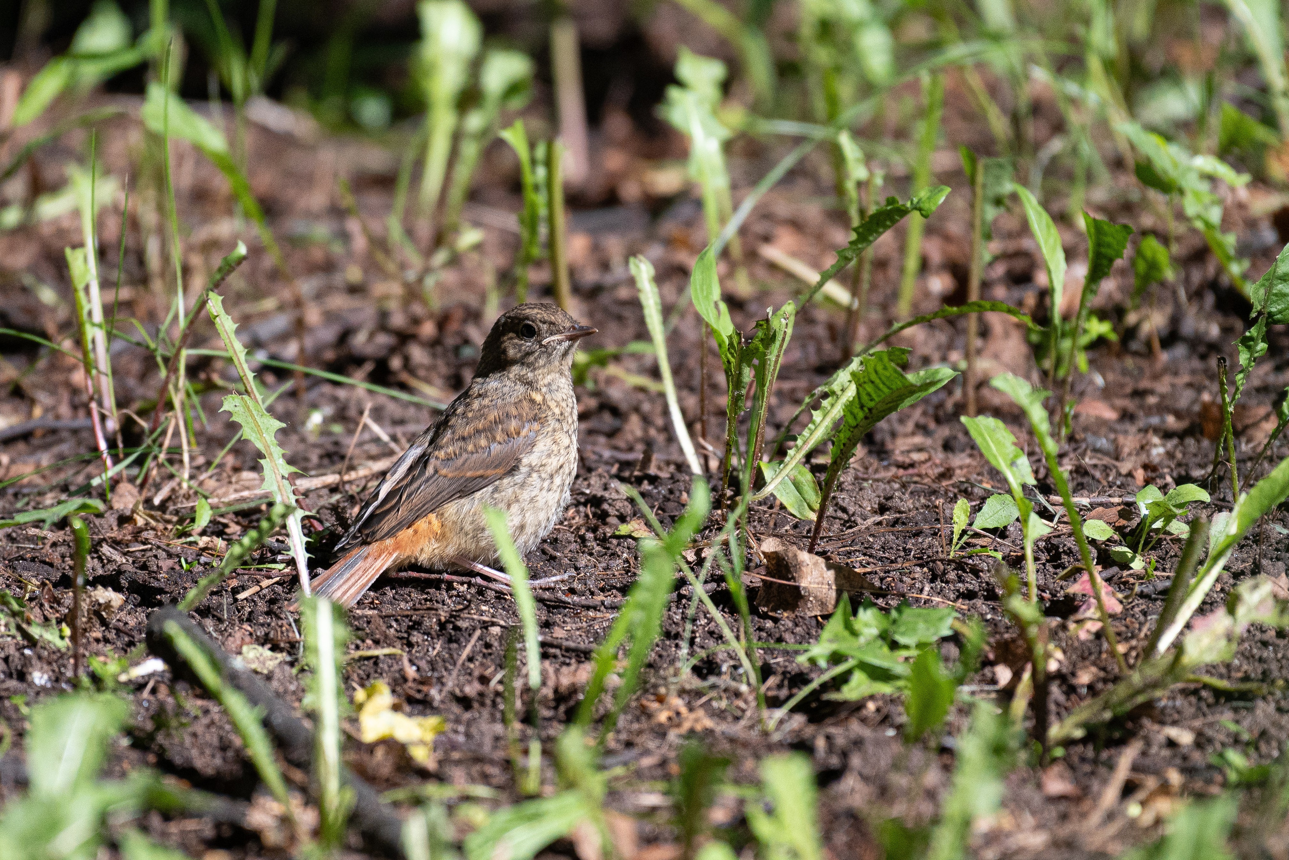 Фотоохота. Репортажный фотограф в Ижевске Константин Ившин