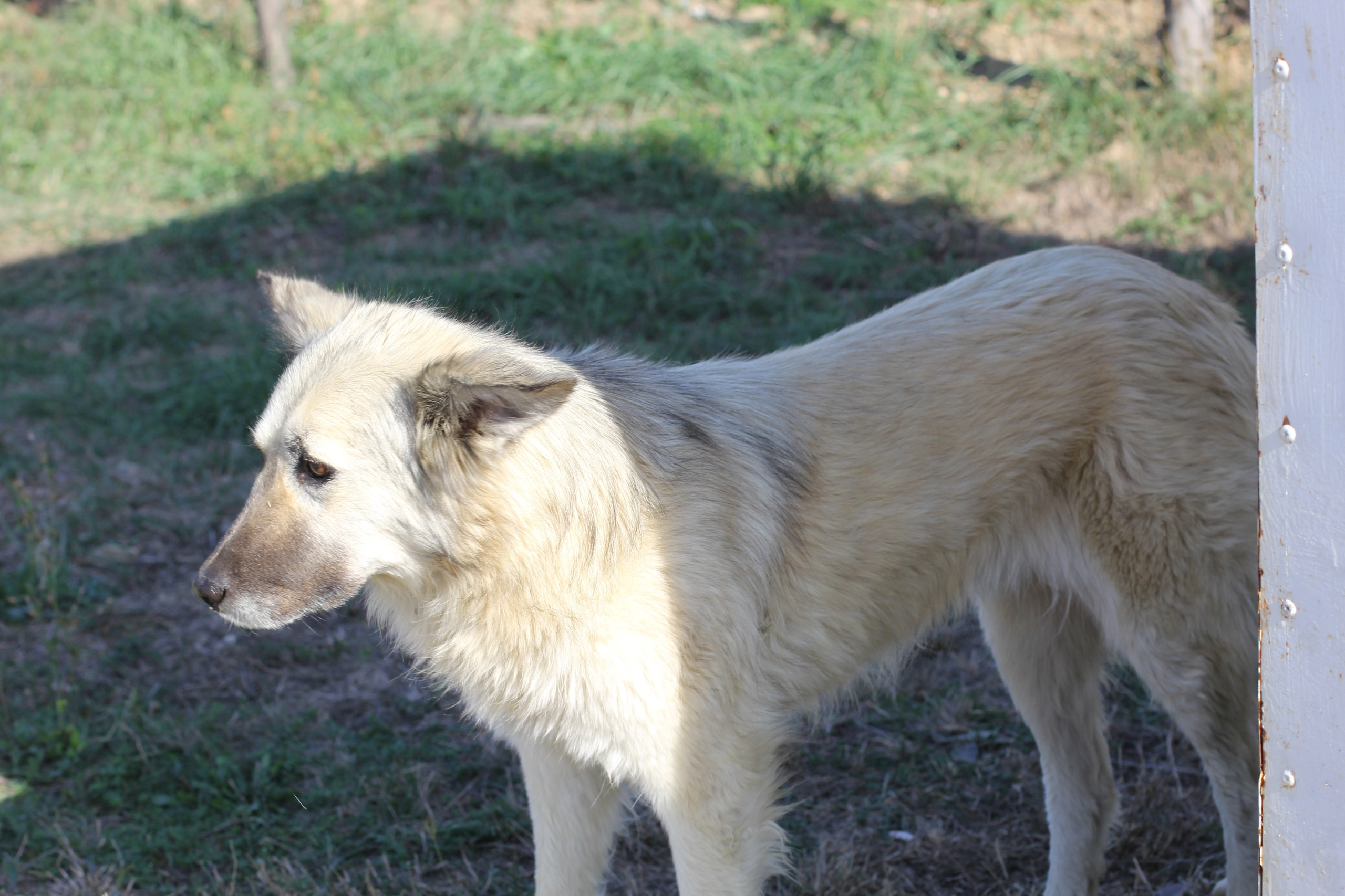 Рыбалка в Горячем Ключе (2024-09-24). Собор Отрасли