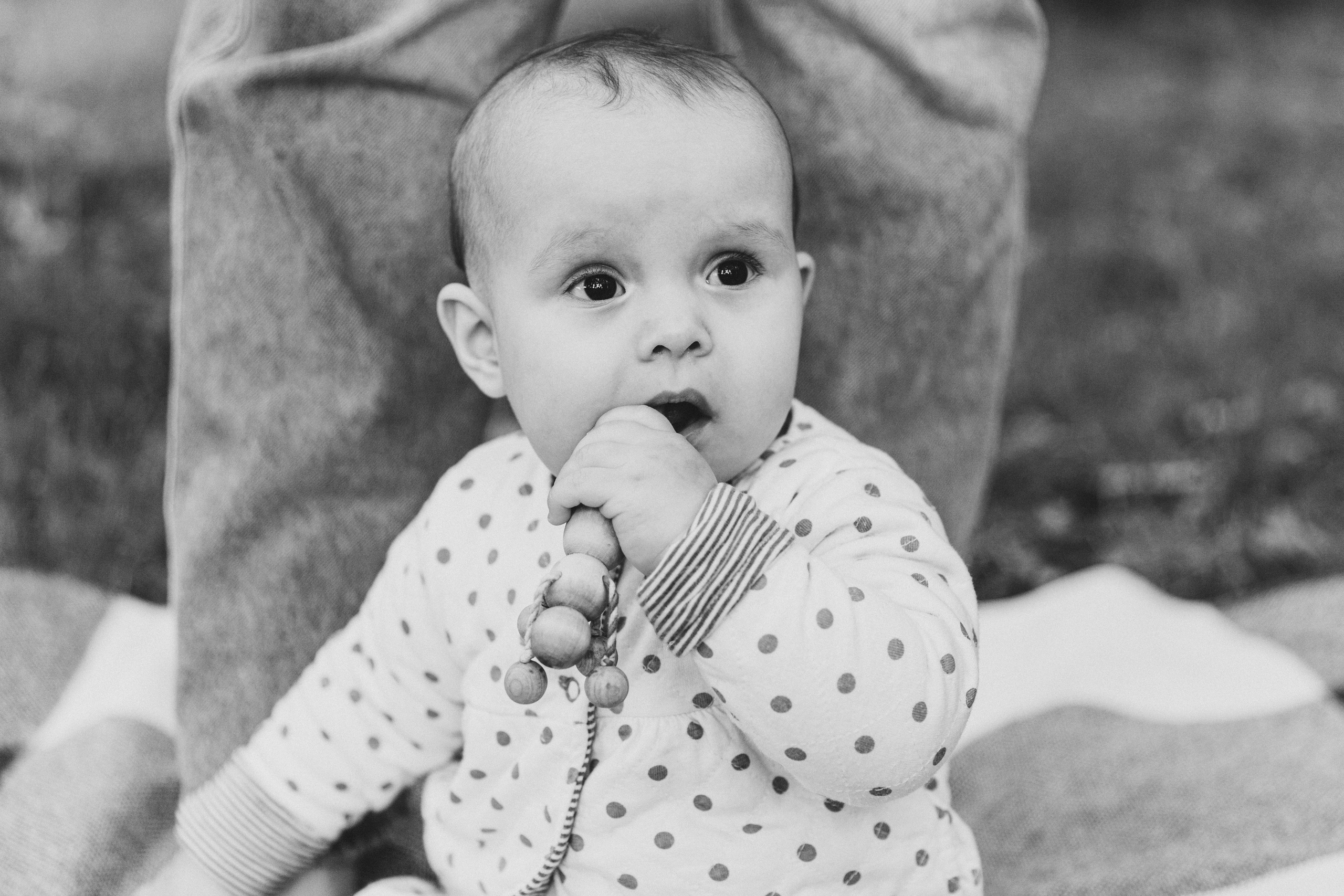 Аня, Вера, Кира и мама. Фотограф-анималист в Москве Соломонова Варвара