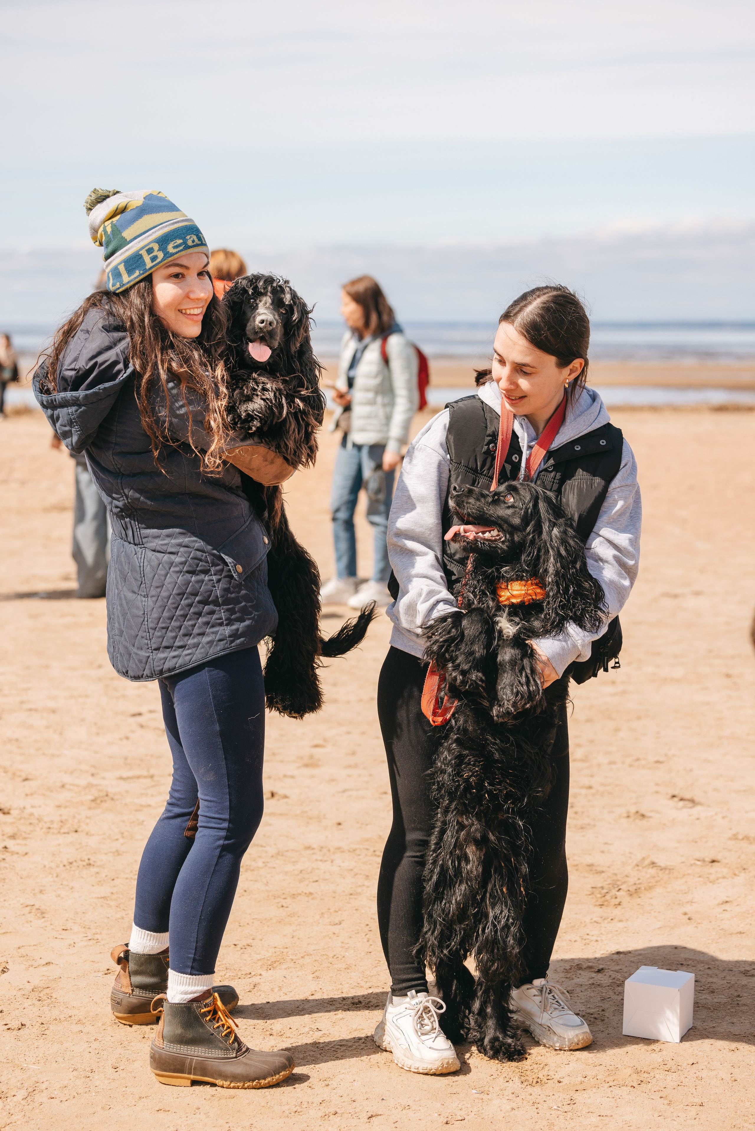 Спанимания. Фотограф анималист Осипчикова Мария