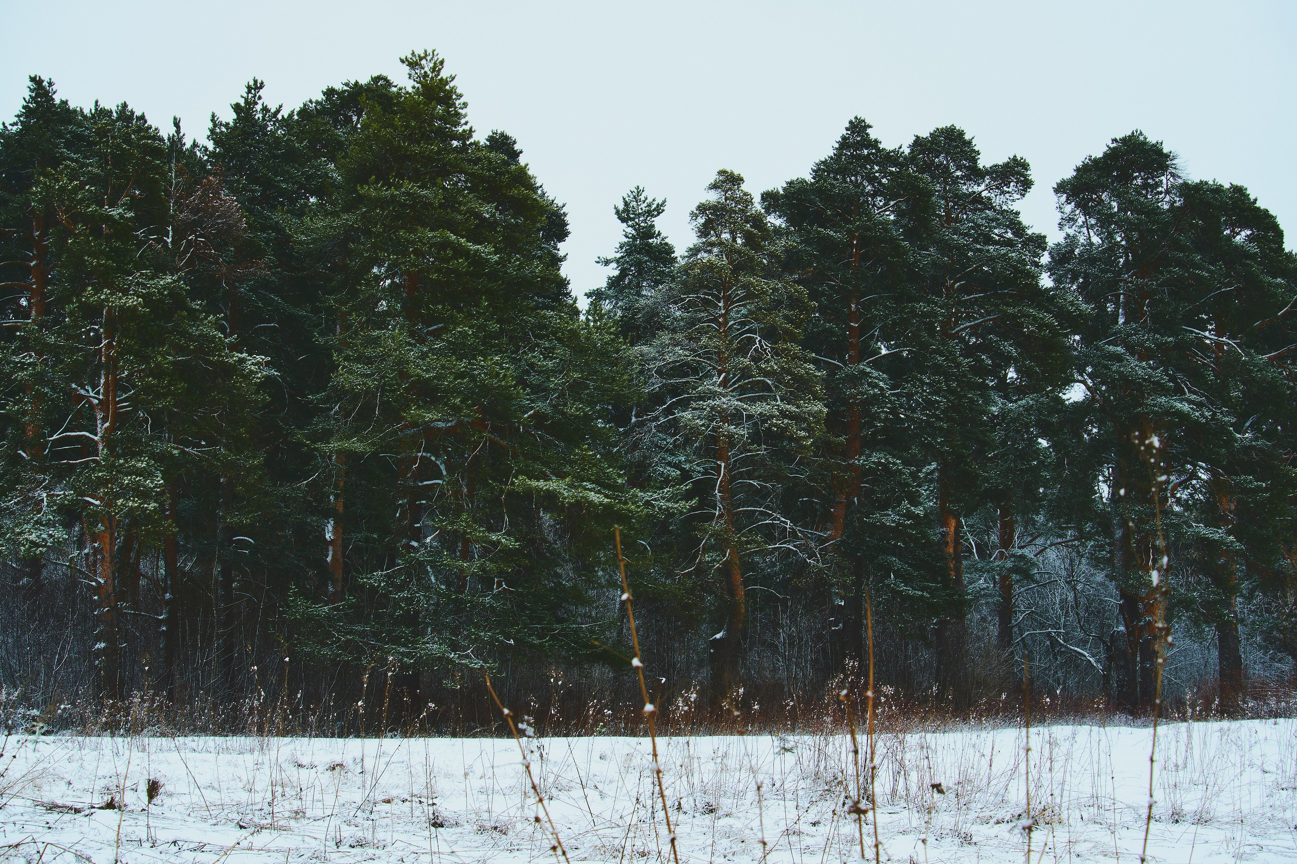Пейзажи. Фотограф-любитель из Кирова Андрей Погребняк