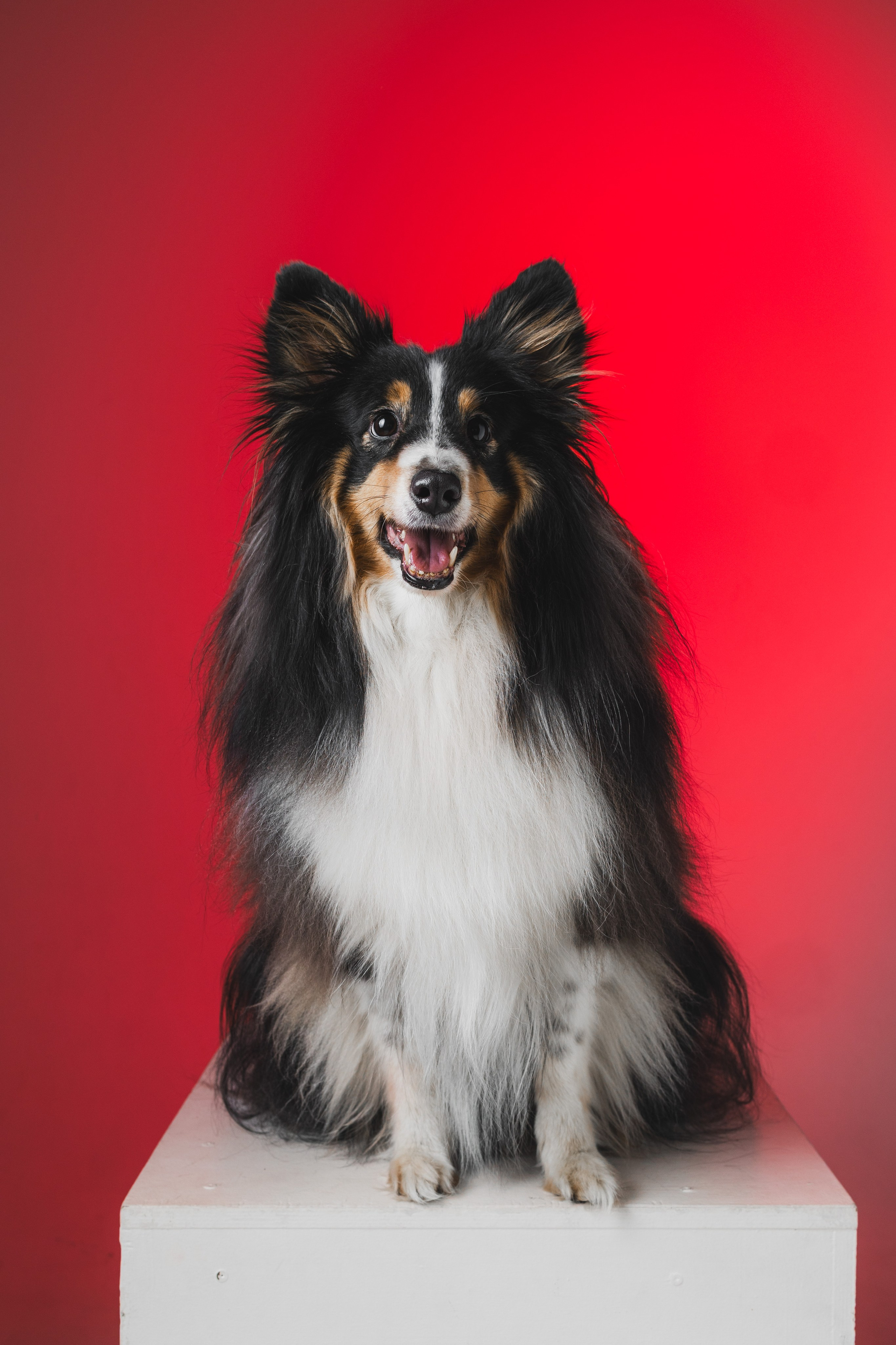 Воркшоп по импульсному свету