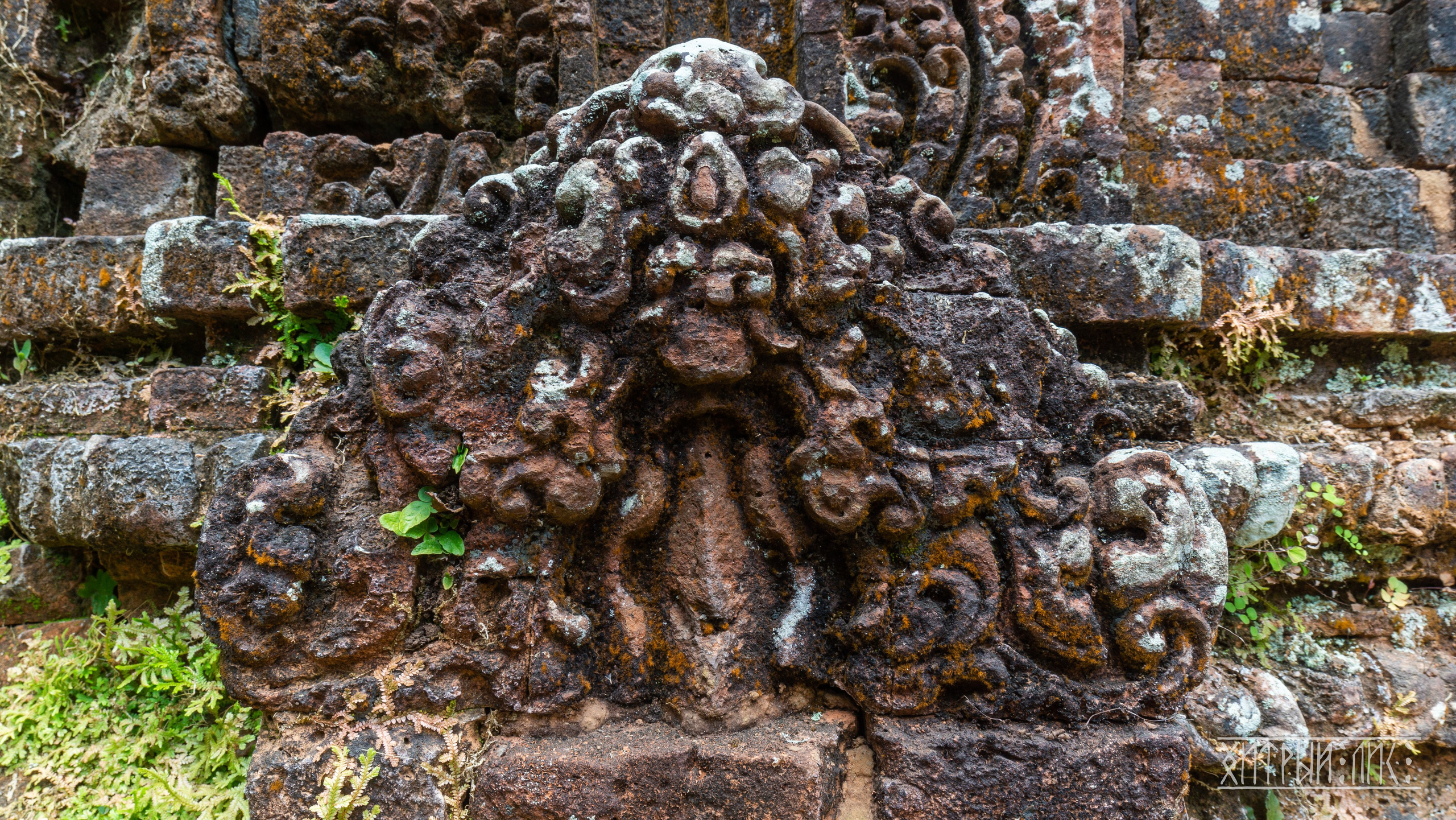 Вьетнам. Фотограф-путешественник Самойлов Максим «Sly Fox»