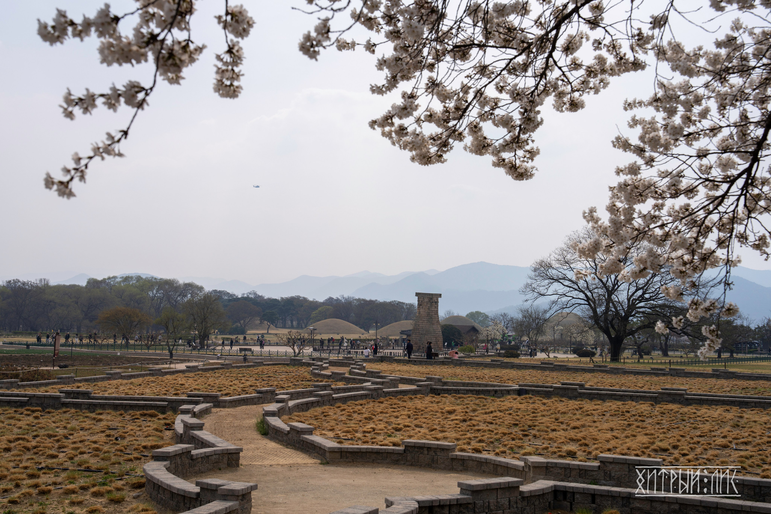 Южная Корея. Фотограф-путешественник Самойлов Максим «Sly Fox»