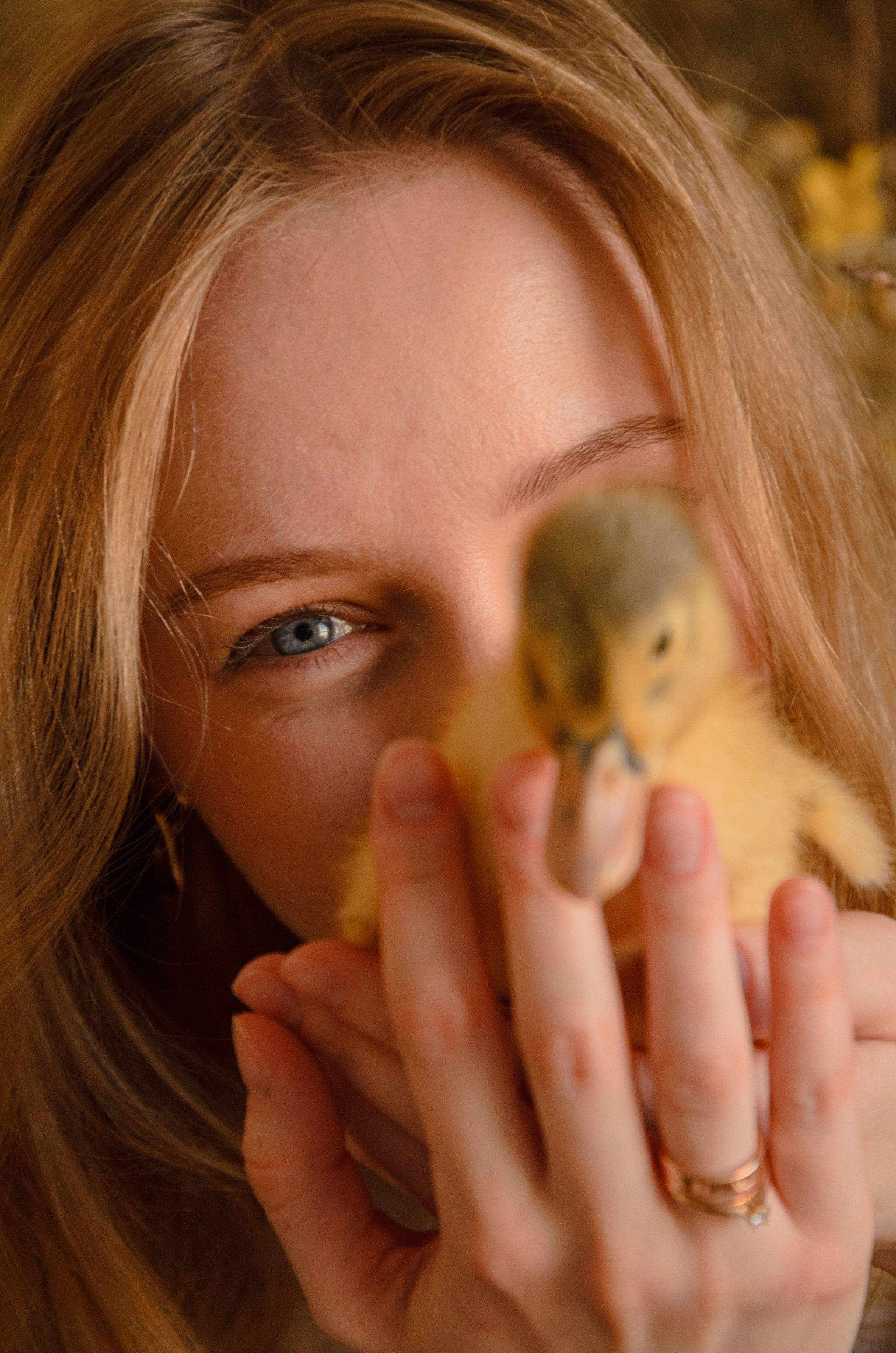 Утиные истории. Фотографы в Тюмени Андрей и Лидия Войвод