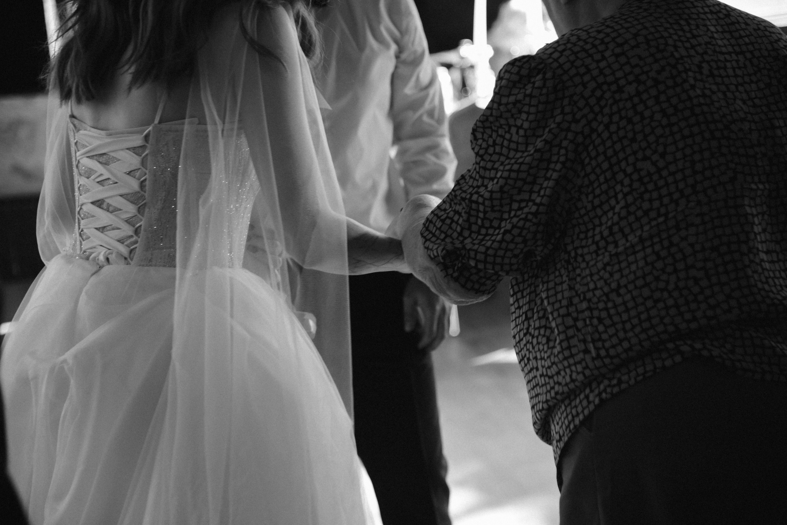 Про лес. Фотограф Лола Волна, город Москва