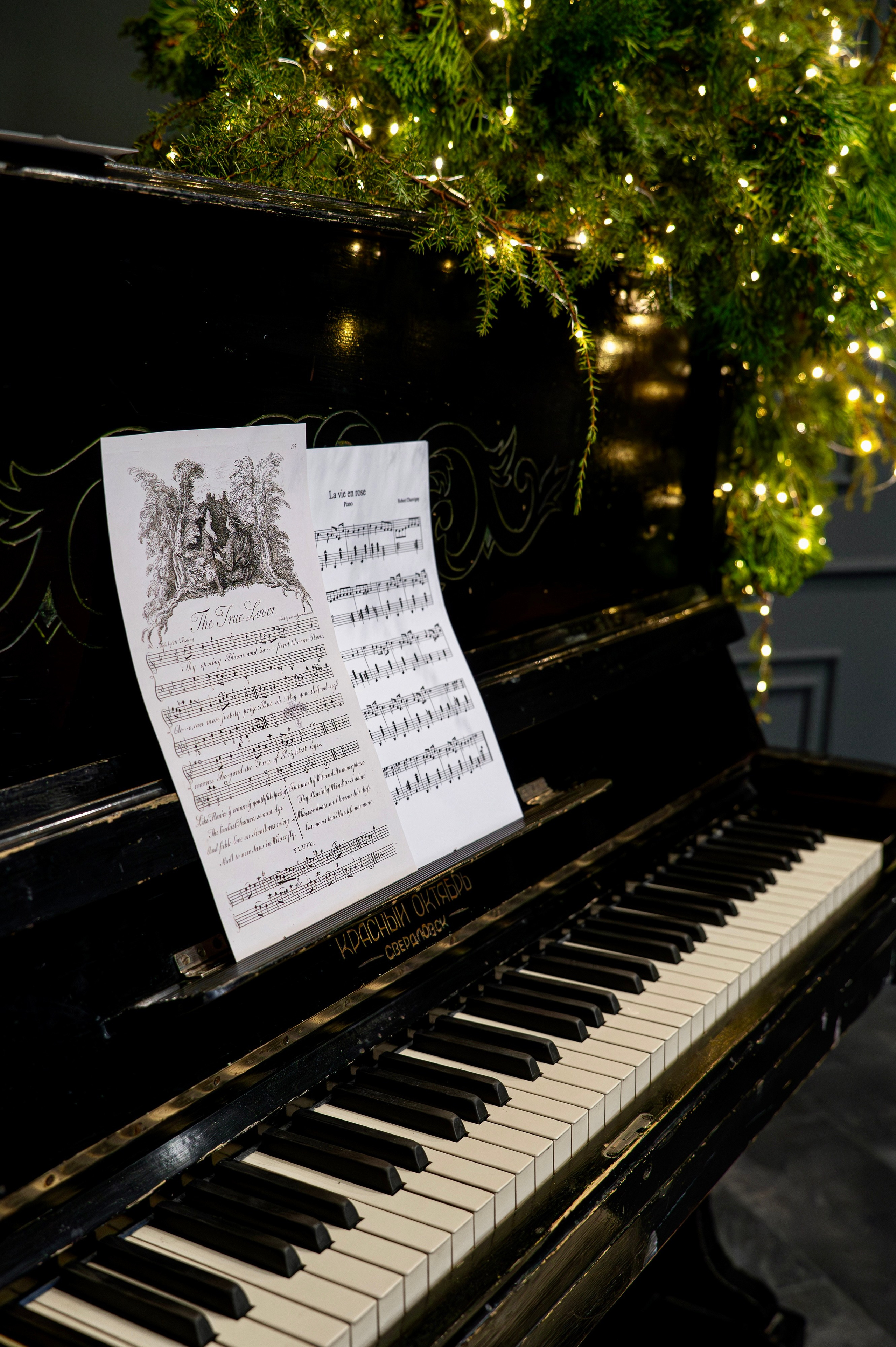 Графит. Фотостудия Молоко в Минске