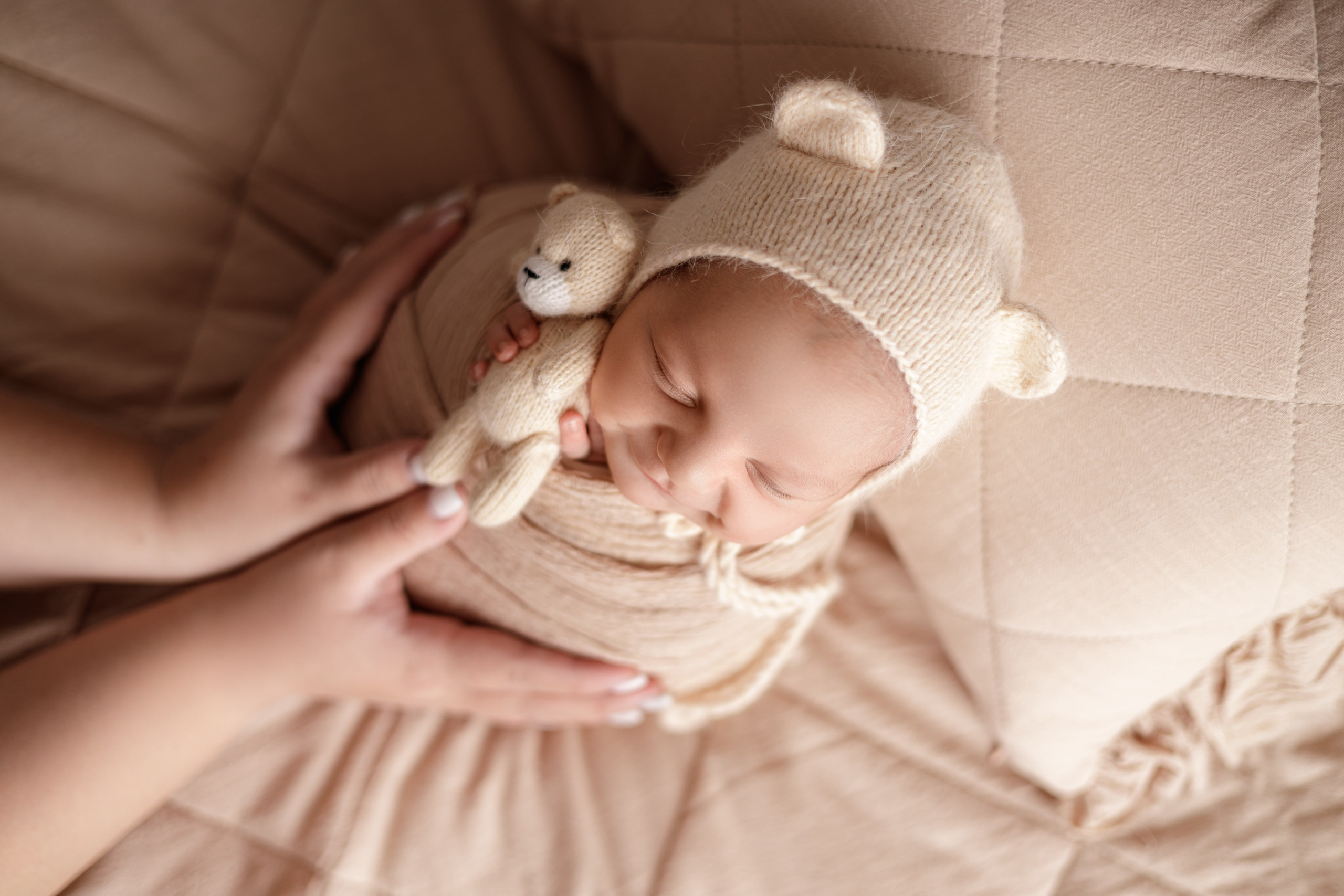 Лев. Евгения Горбунова фотограф новорожденных в Новом Уренгое