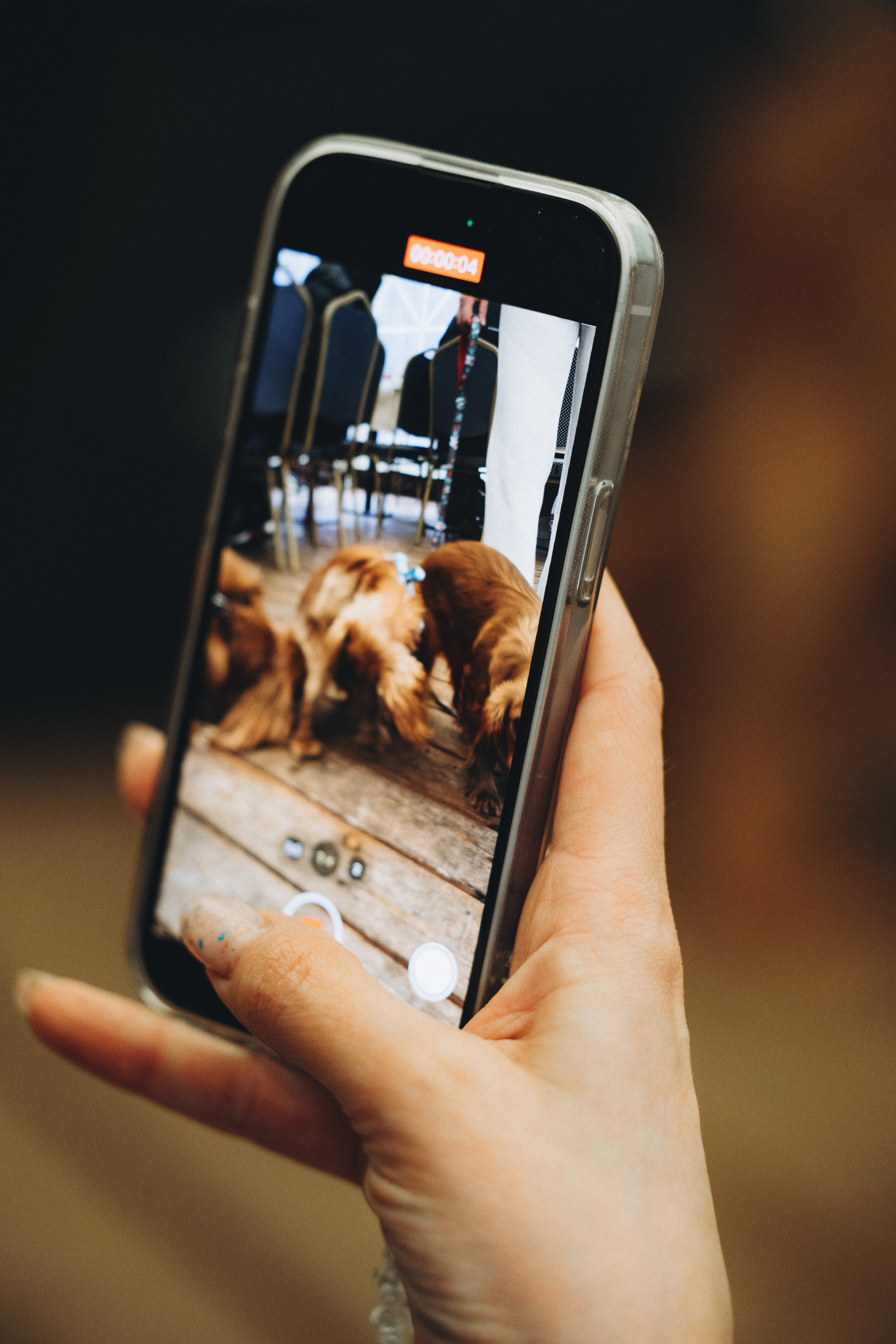 Встреча ККЧС. Фотограф анималист Осипчикова Мария