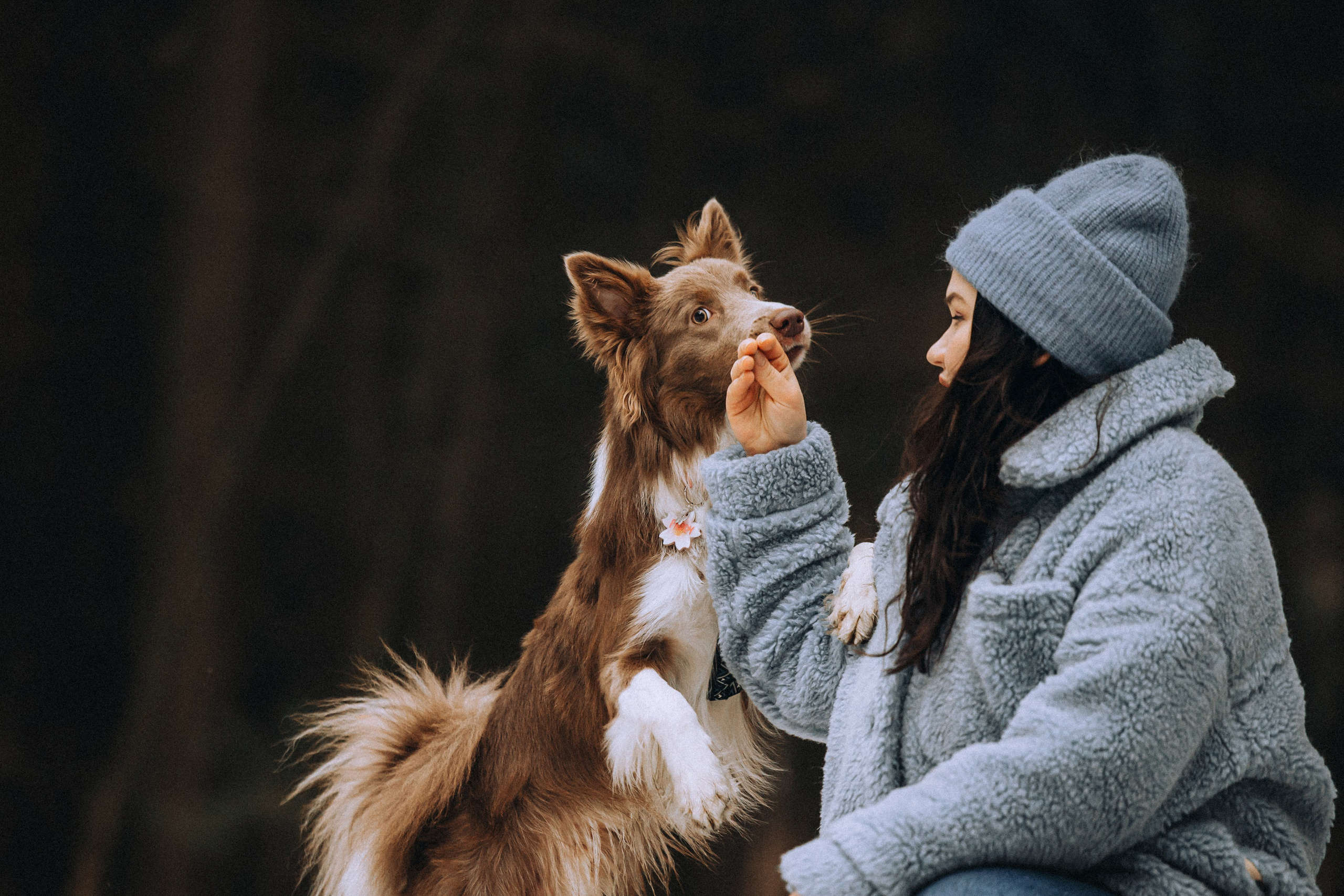 Полина, Милли и Паддингтон