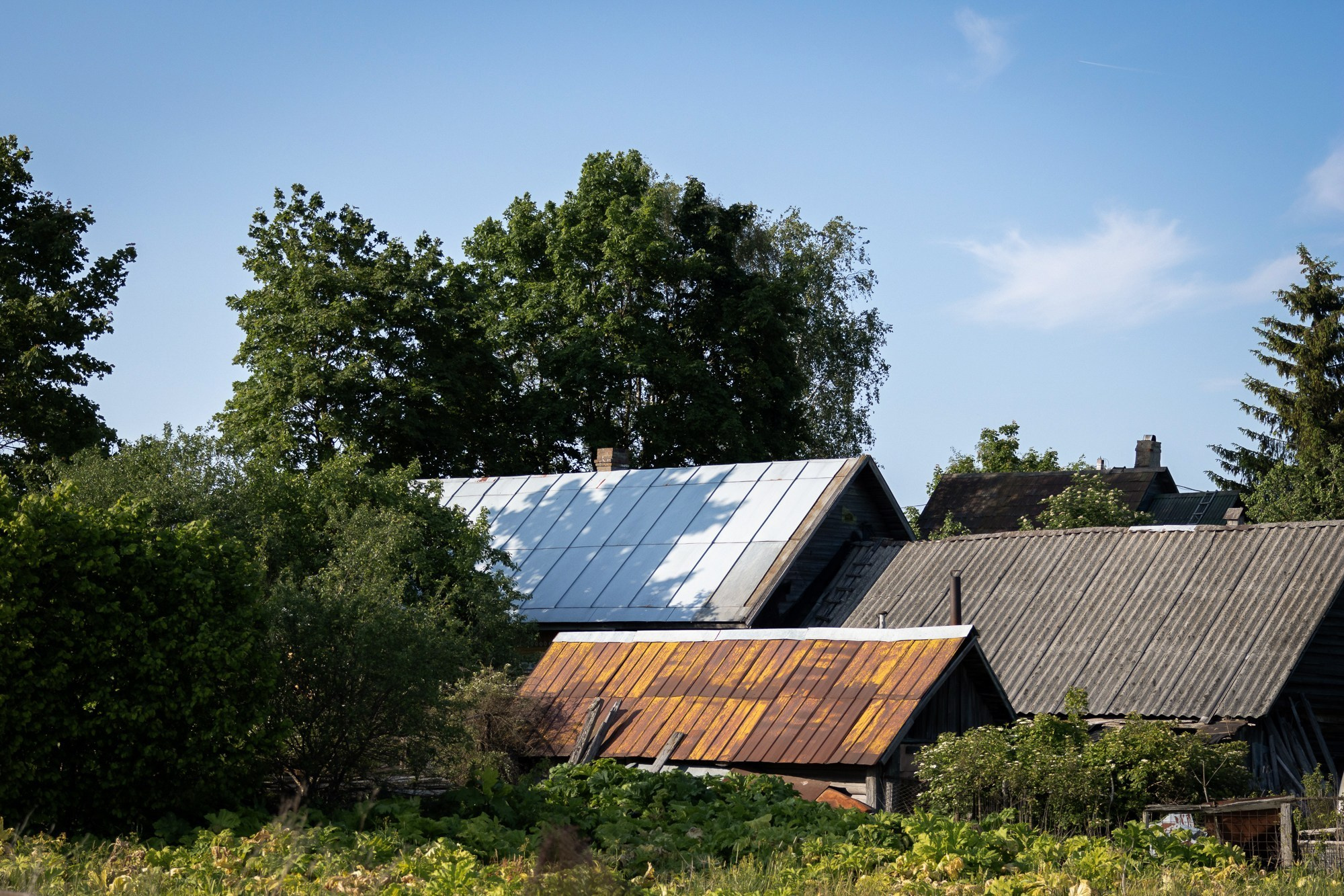 Город, деревня, улицы, дома…жизнь. Фотограф портретист в Санкт Петербурге Дроздова Алла