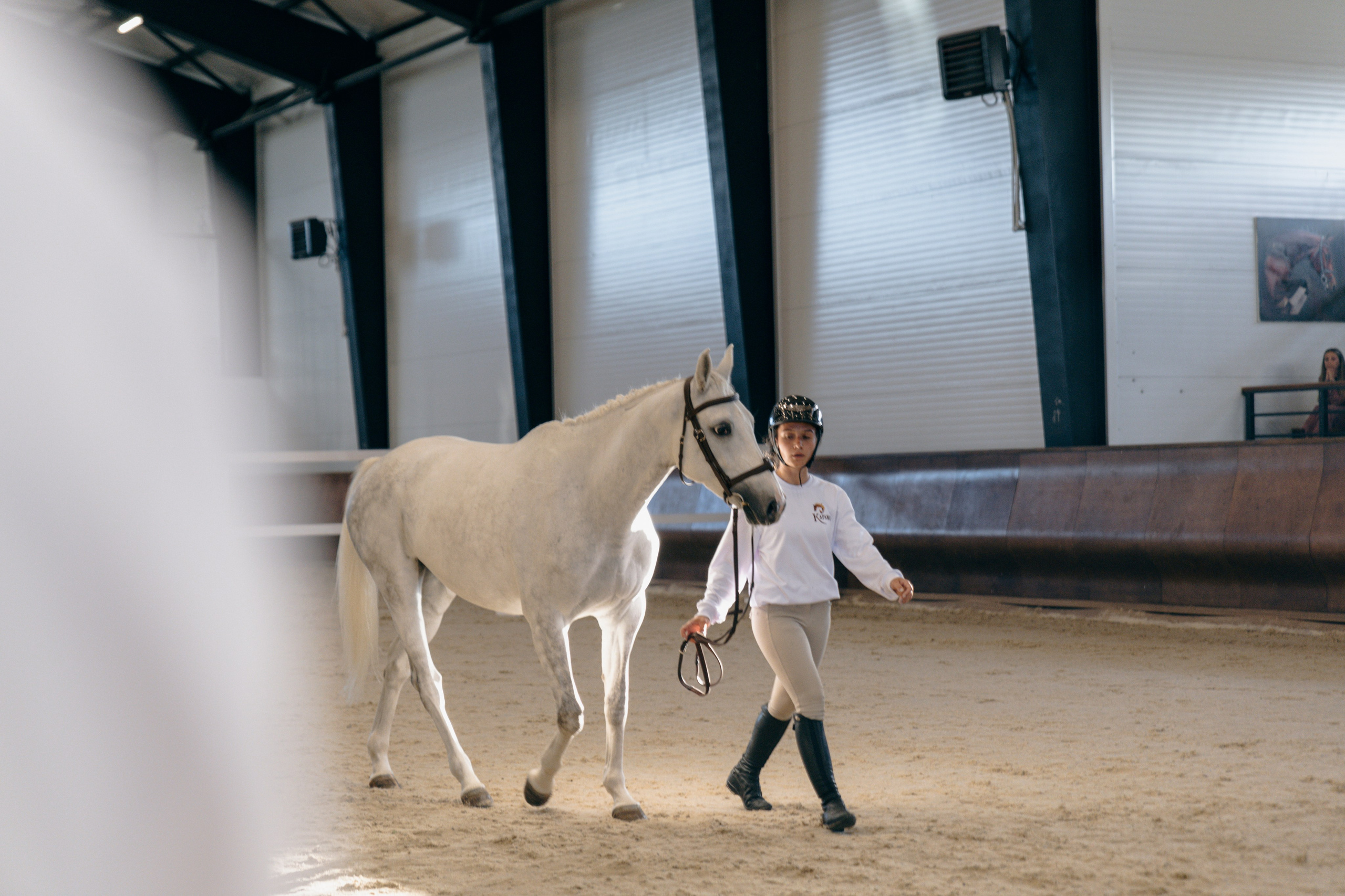 Аукцион. Фотограф Москва Софа Ревчук