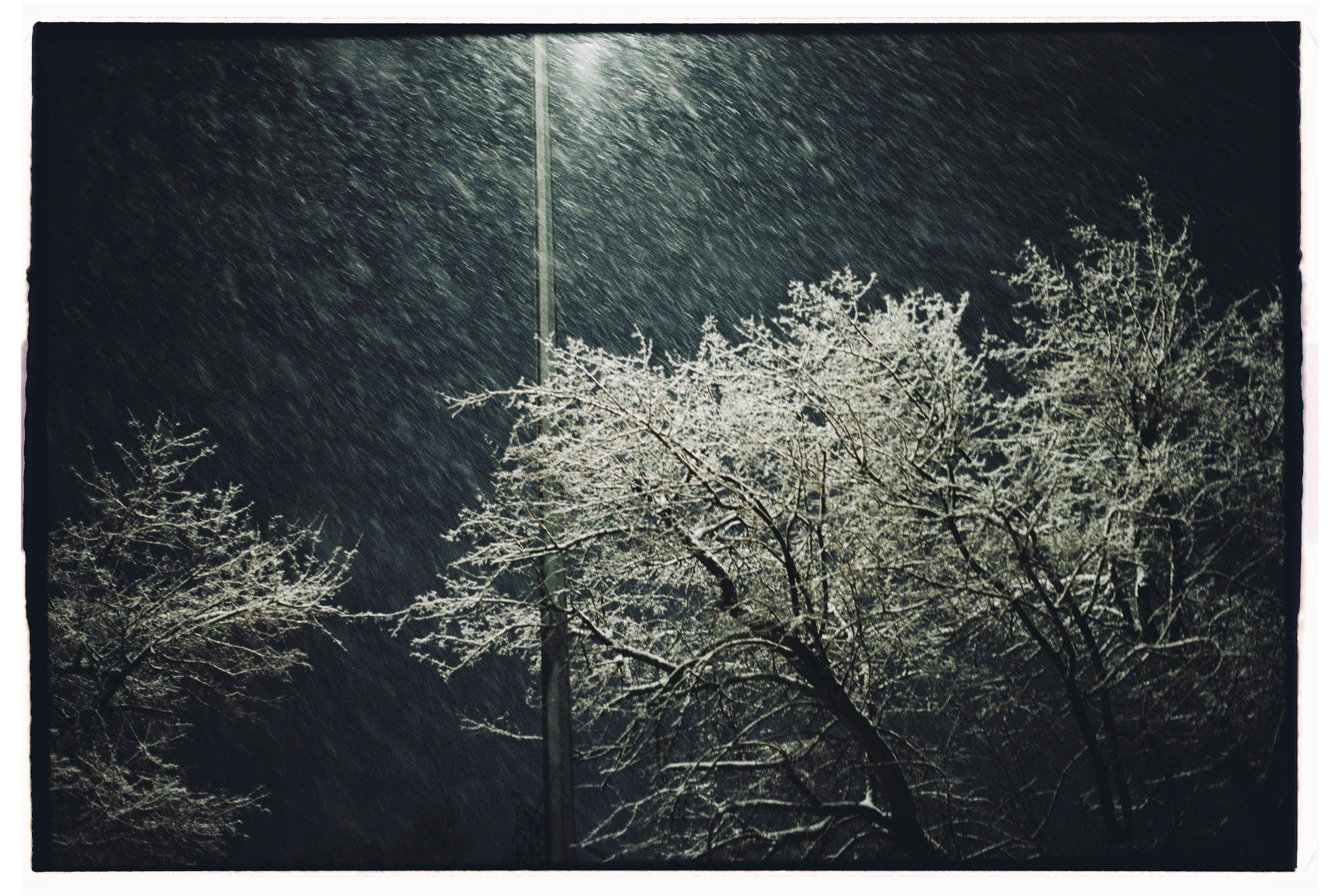 Пленка. Семейный свадебный фотограф Семен Егоров