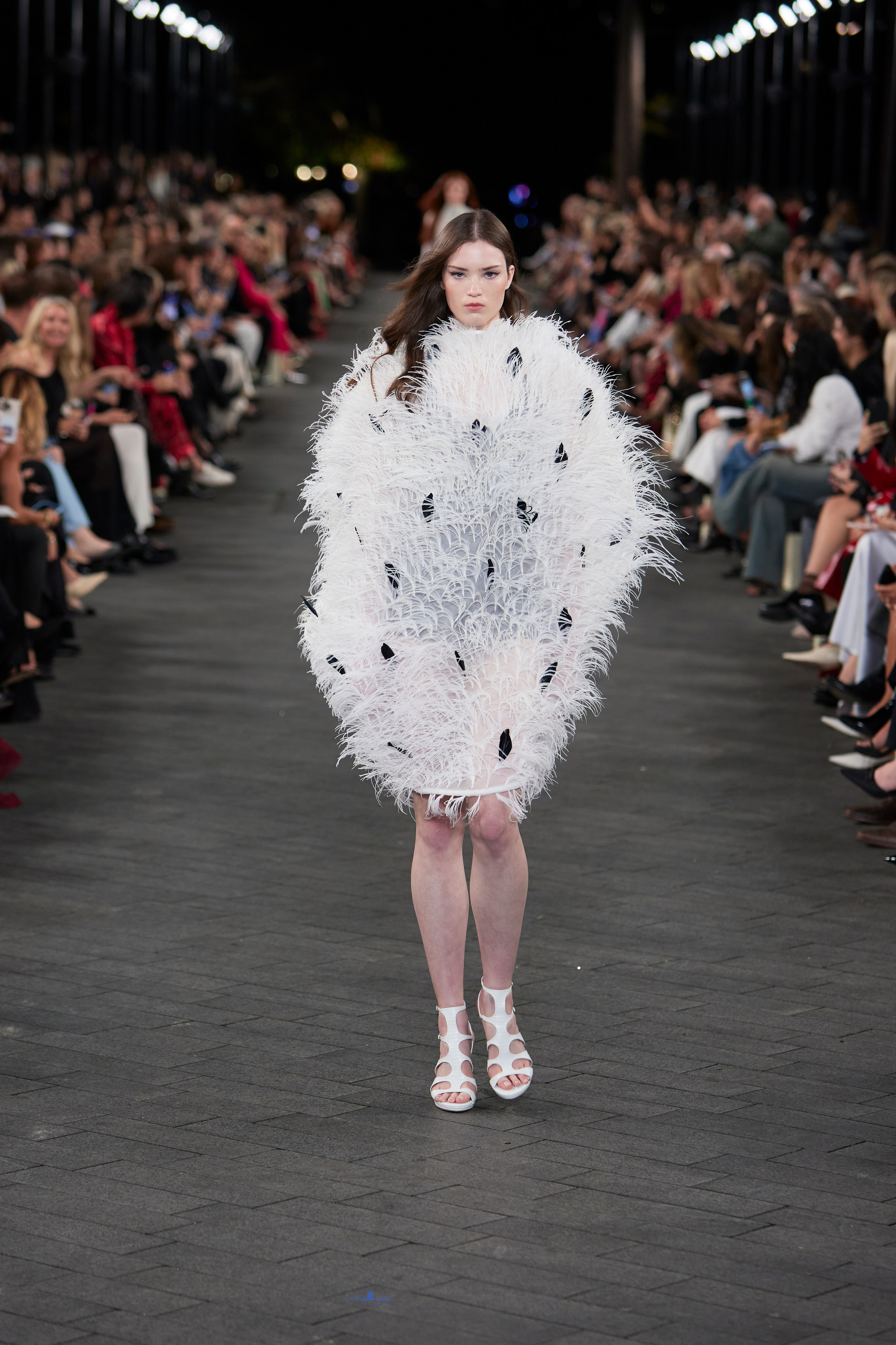 Carla Zampatti, AFW2025. Maria Poleshchuk, commercial photographer in Sydney